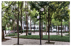 Ijerph 19 13500 i001