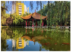 Ijerph 19 13500 i005