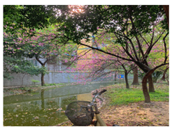 Ijerph 19 13500 i006