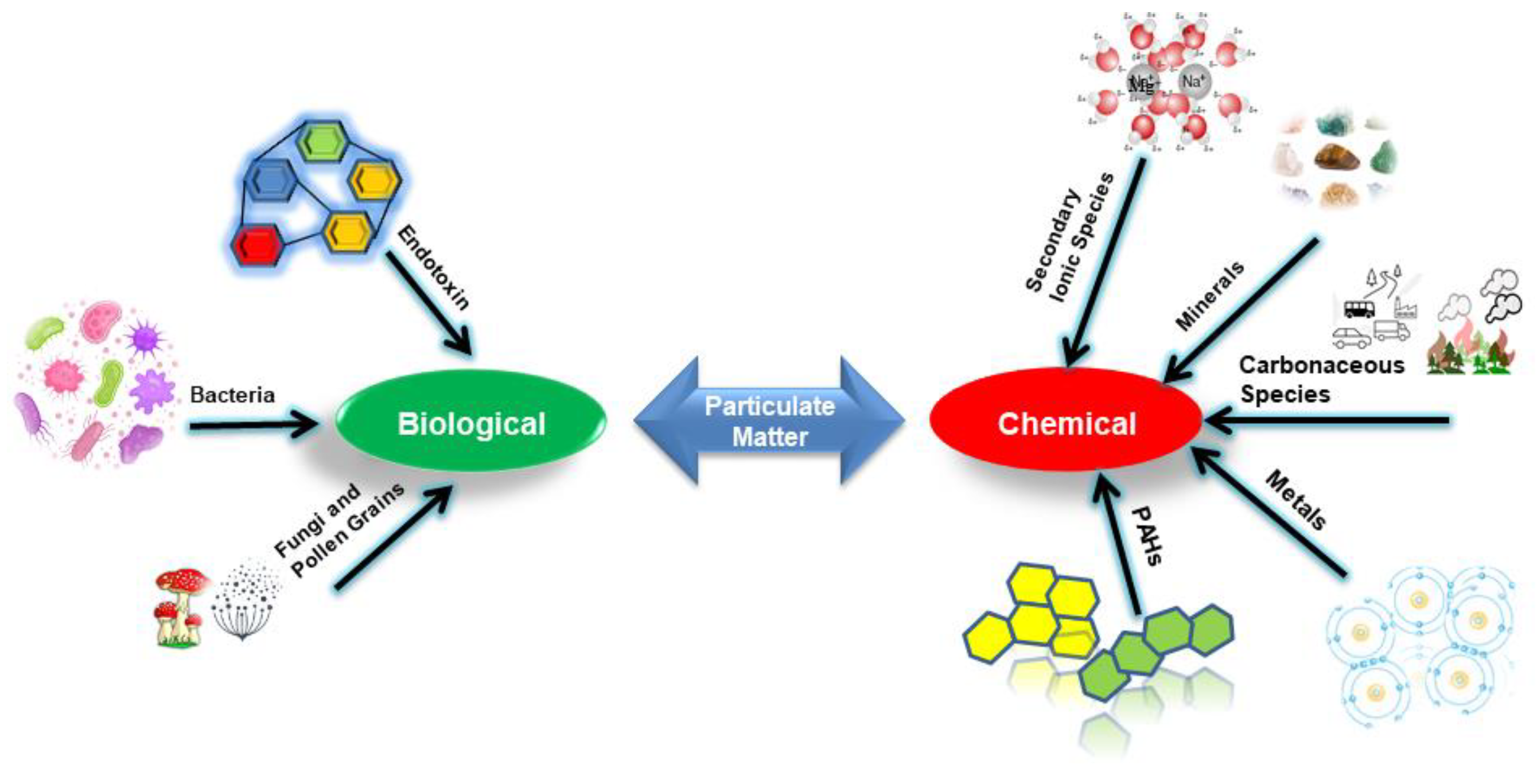 Ijerph 19 13540 g001 Ijerph 19 13540 g001