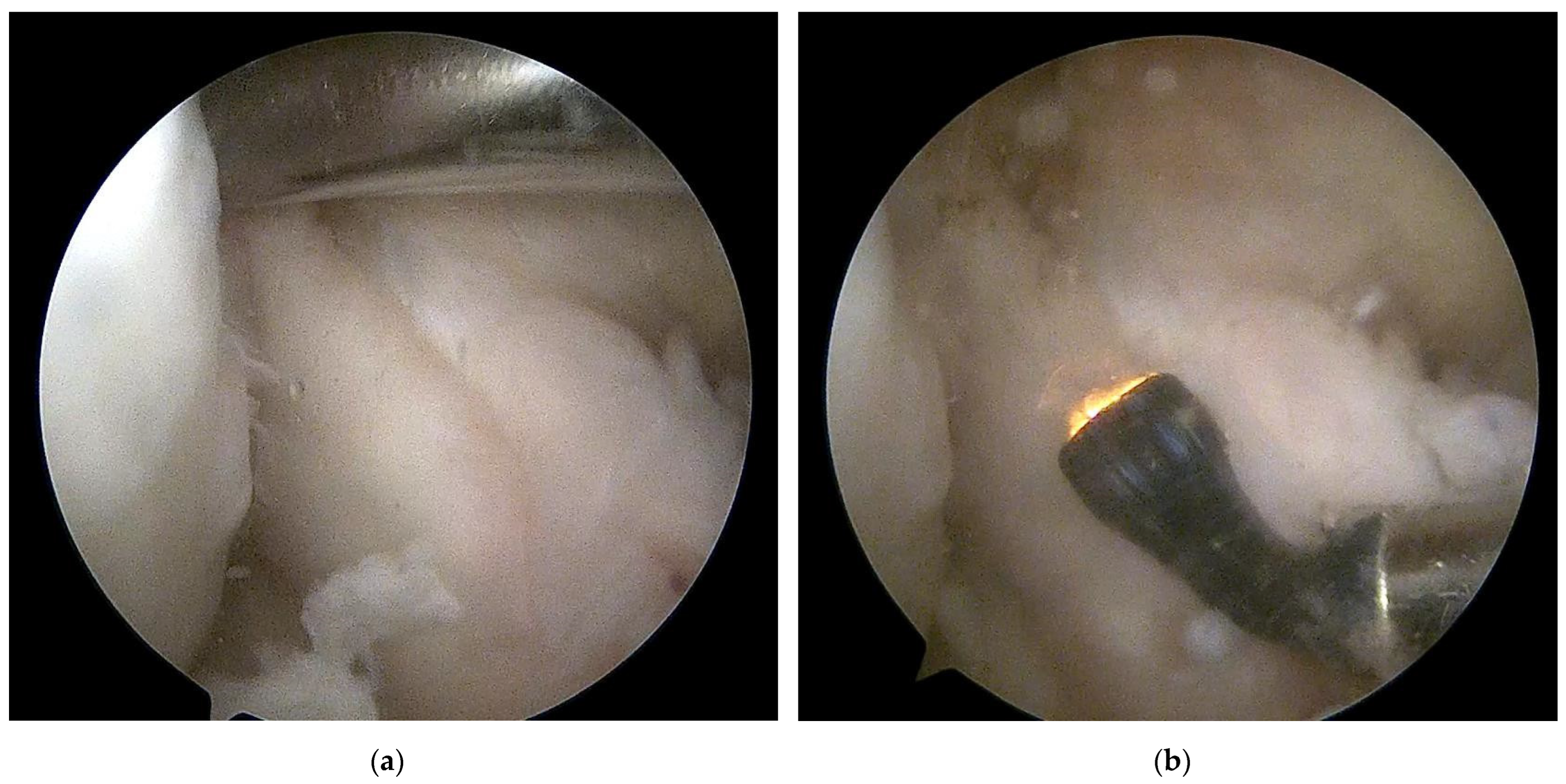 Ijerph 19 13569 g001