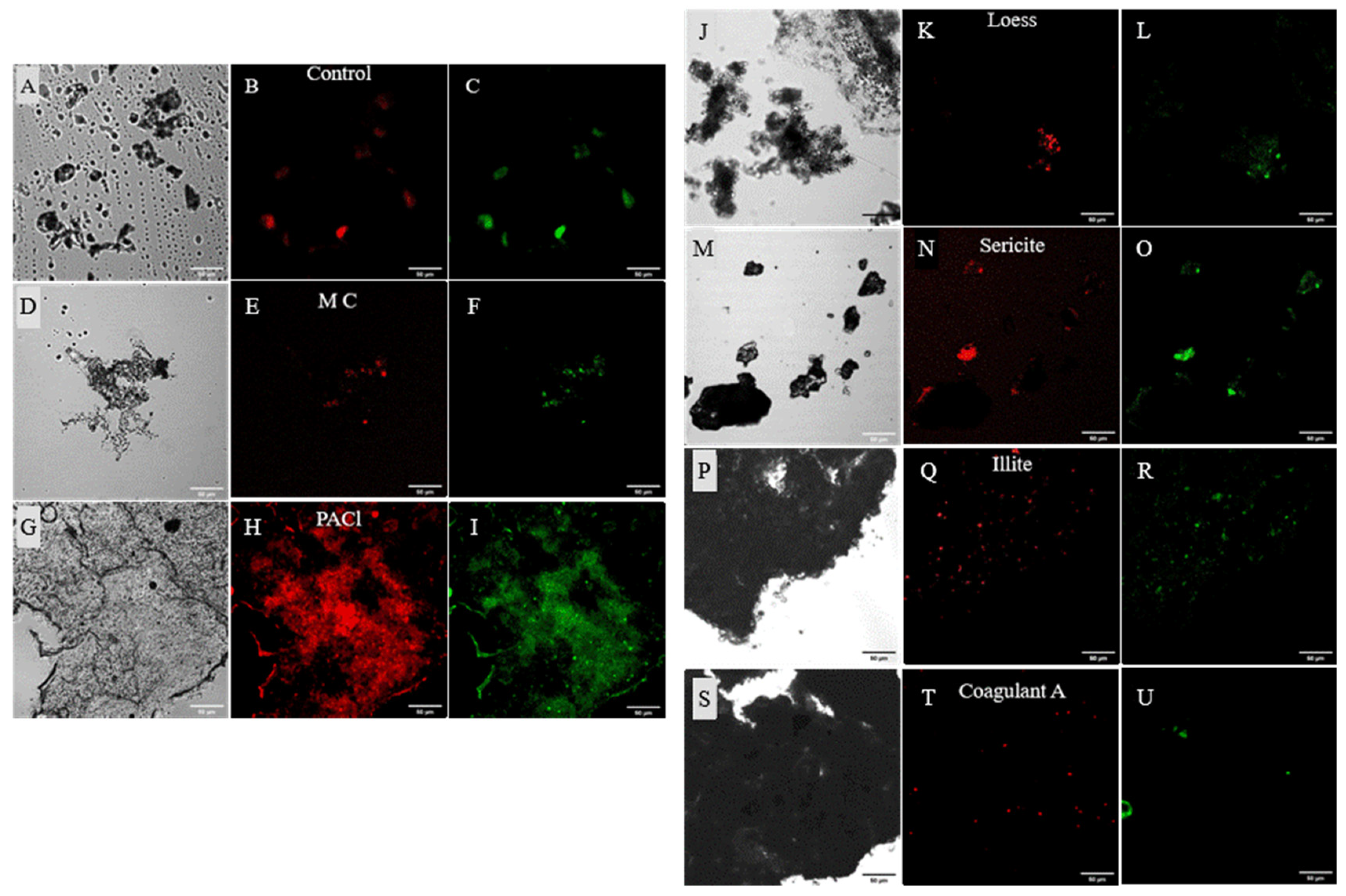 Ijerph 19 13577 g005 Ijerph 19 13577 g005