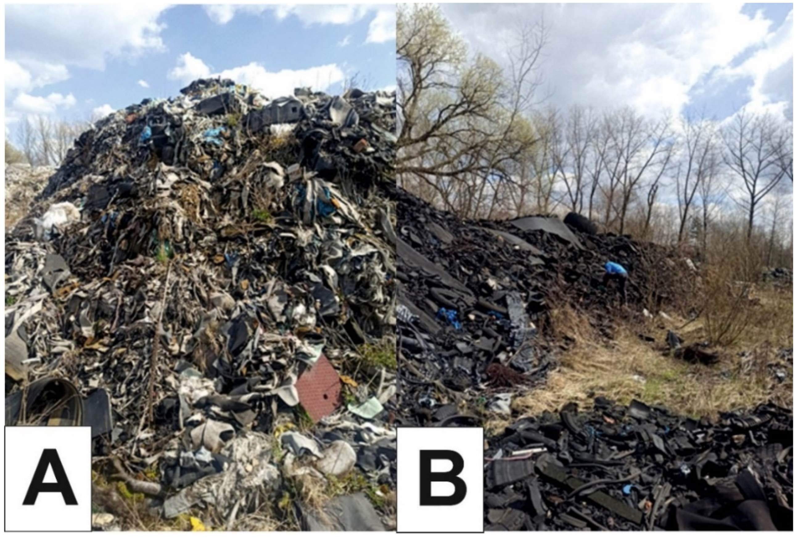 Ijerph 19 13613 g002 Ijerph 19 13613 g002