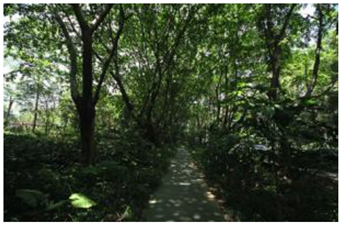 Ijerph 19 13640 i003