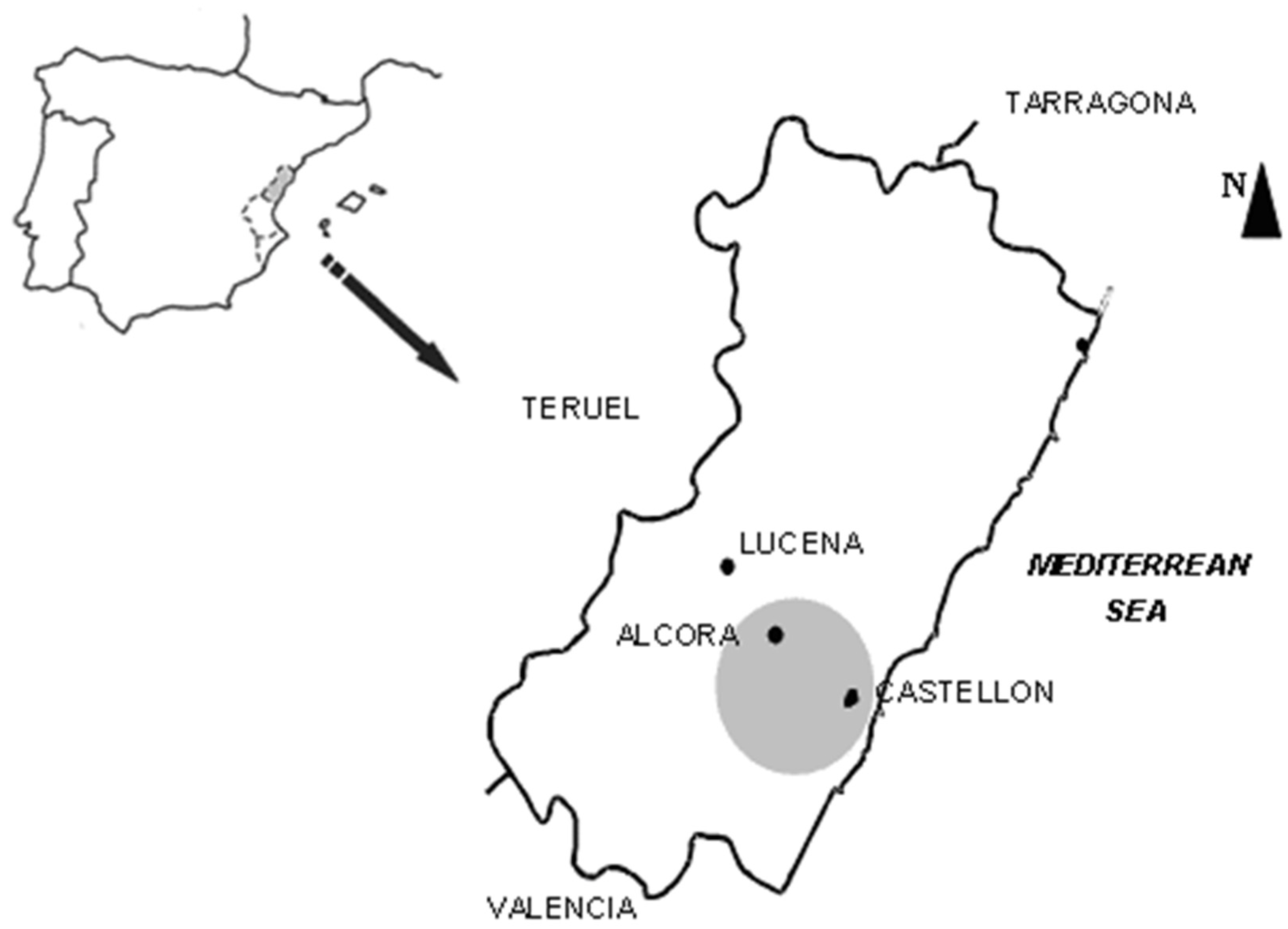 Ijerph 19 13736 g001