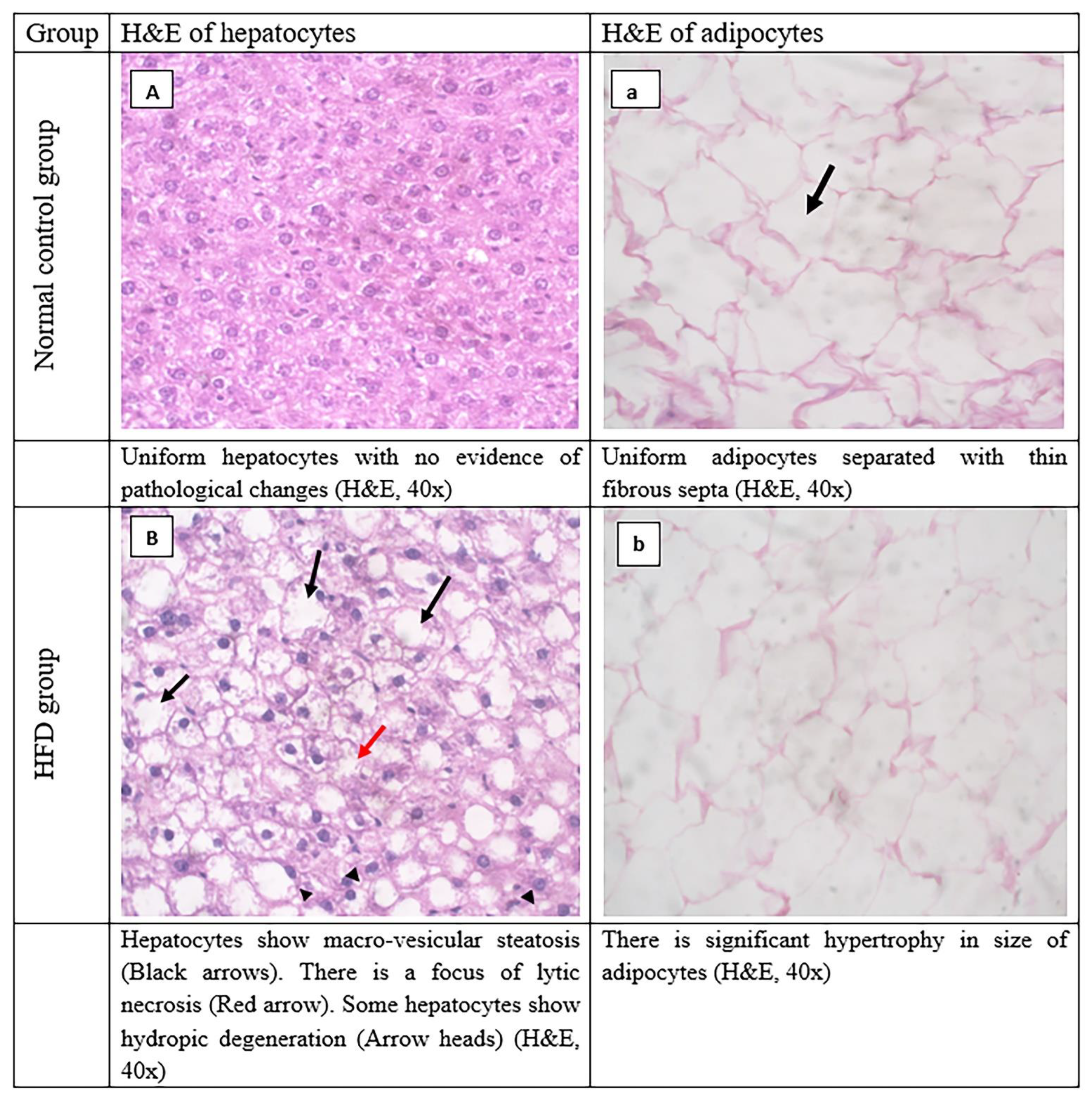 Ijerph 19 13740 g005a Ijerph 19 13740 g005a