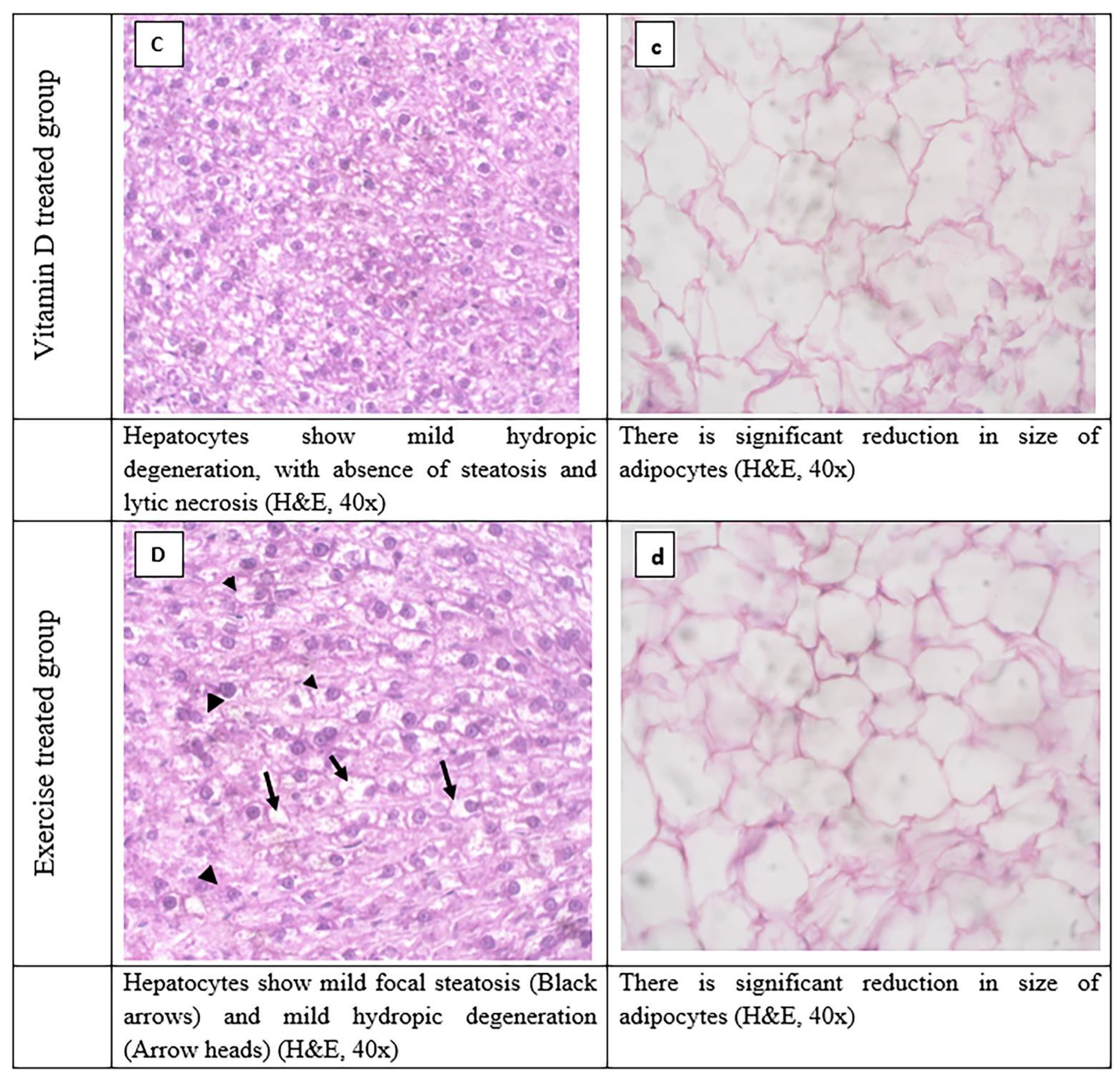 Ijerph 19 13740 g005b Ijerph 19 13740 g005b