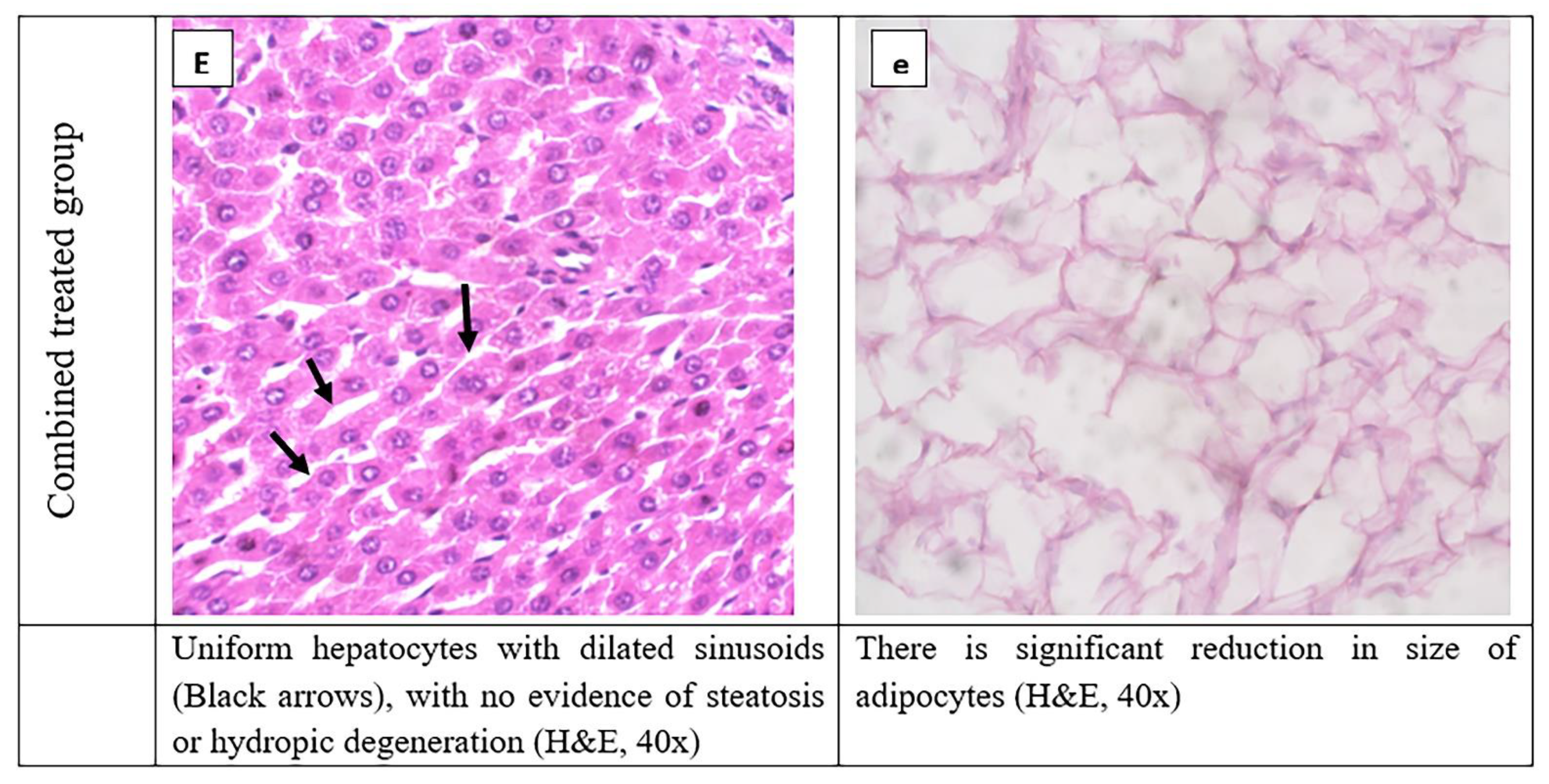 Ijerph 19 13740 g005c Ijerph 19 13740 g005c