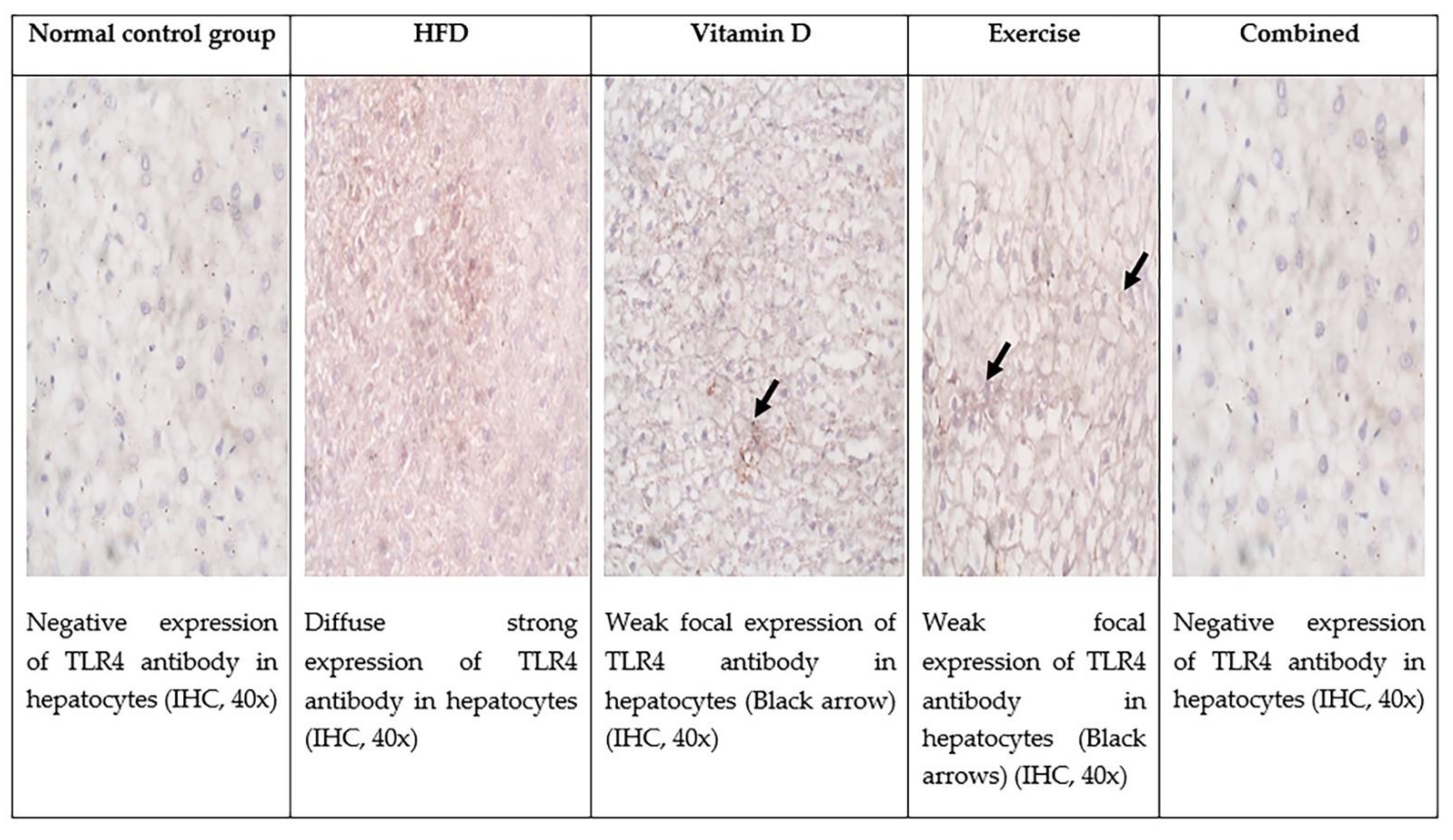 Ijerph 19 13740 g007 Ijerph 19 13740 g007