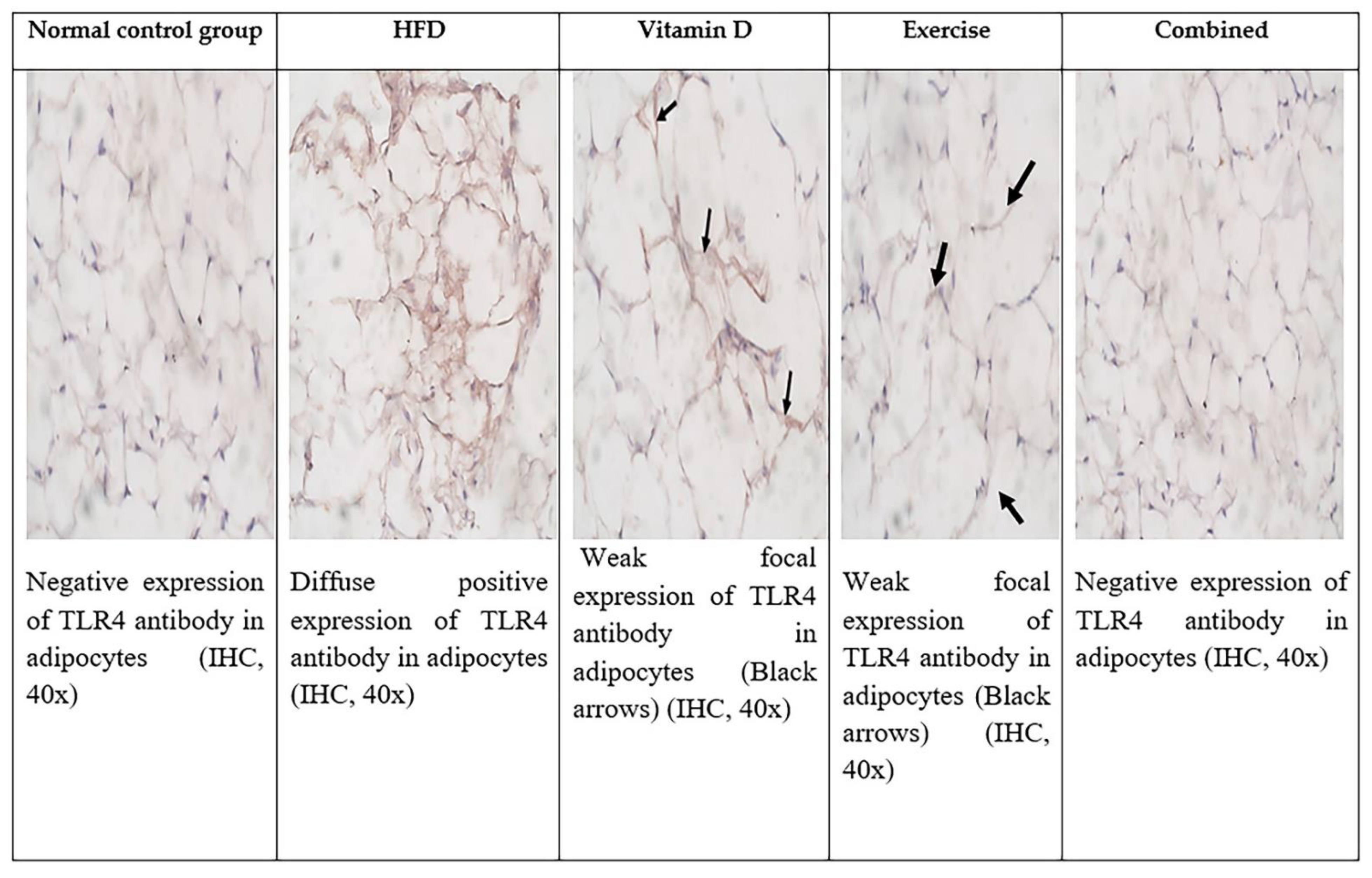 Ijerph 19 13740 g008 Ijerph 19 13740 g008