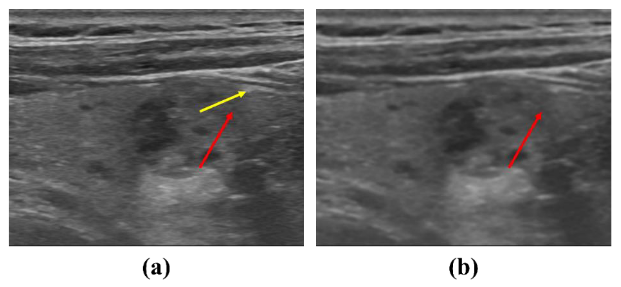 Ijerph 19 13743 g009