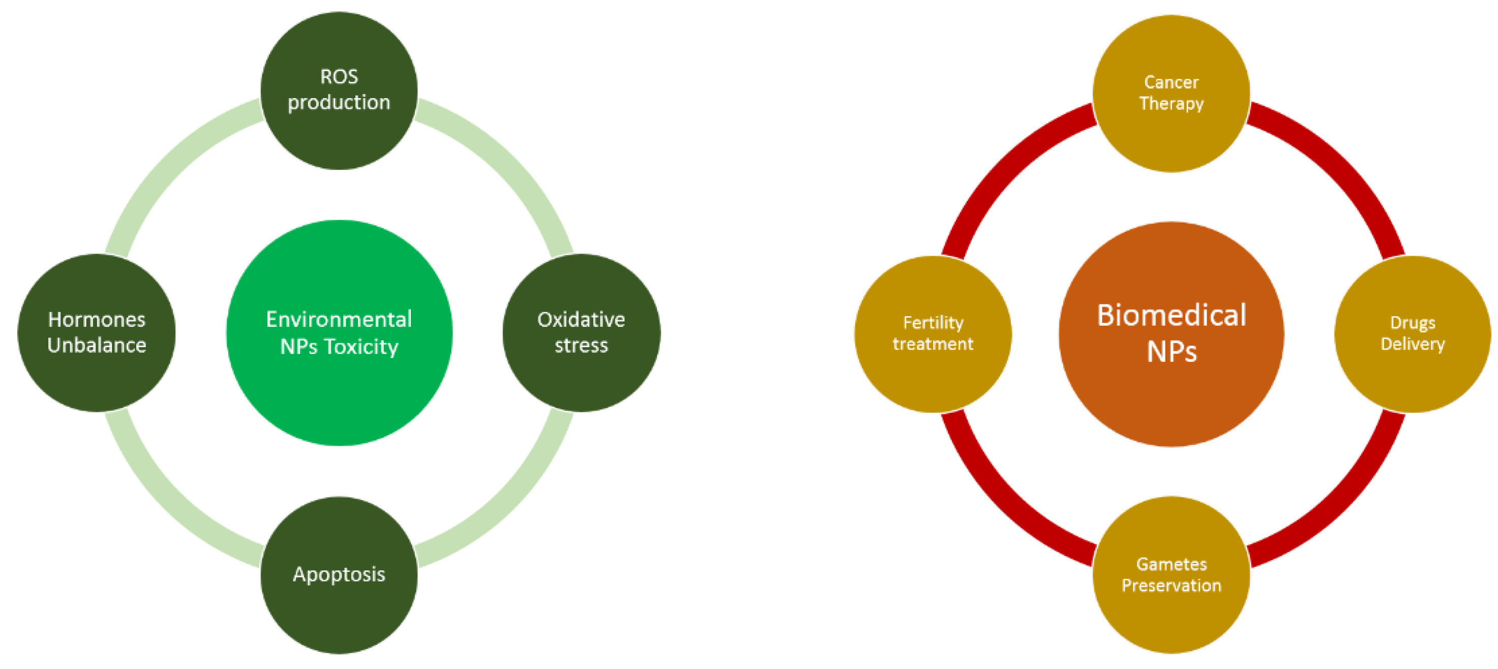 Ijerph 19 13748 g001 Ijerph 19 13748 g001