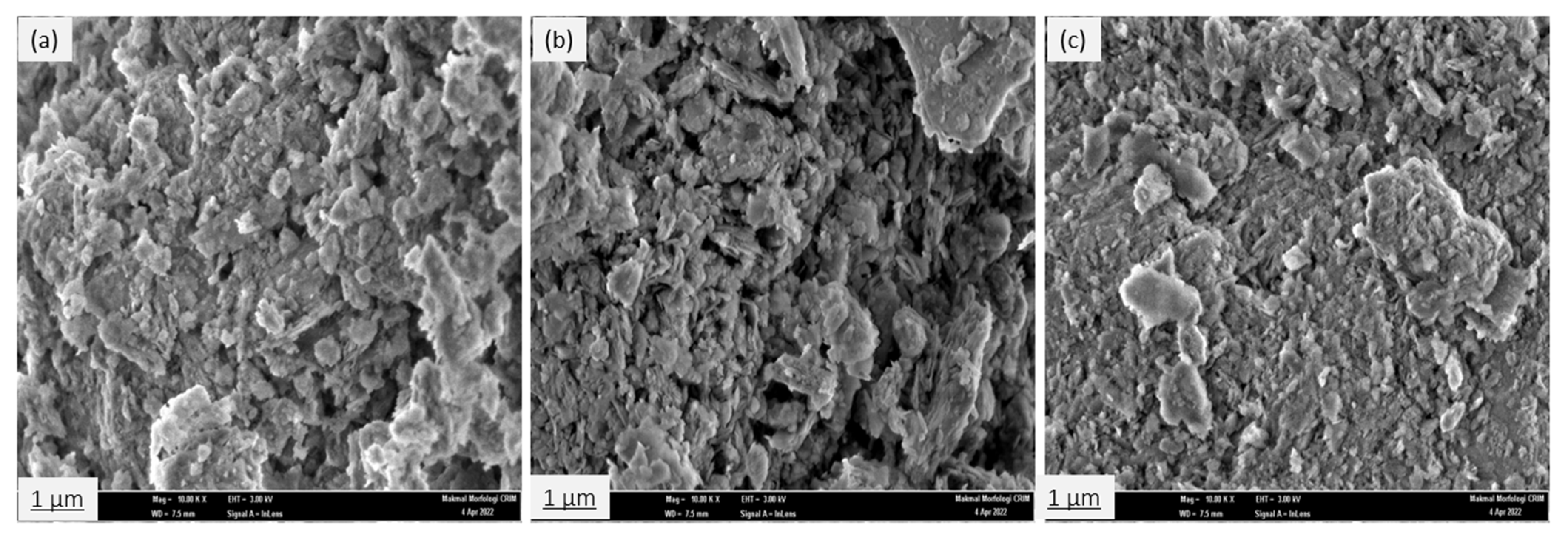 Ijerph 19 13774 g016