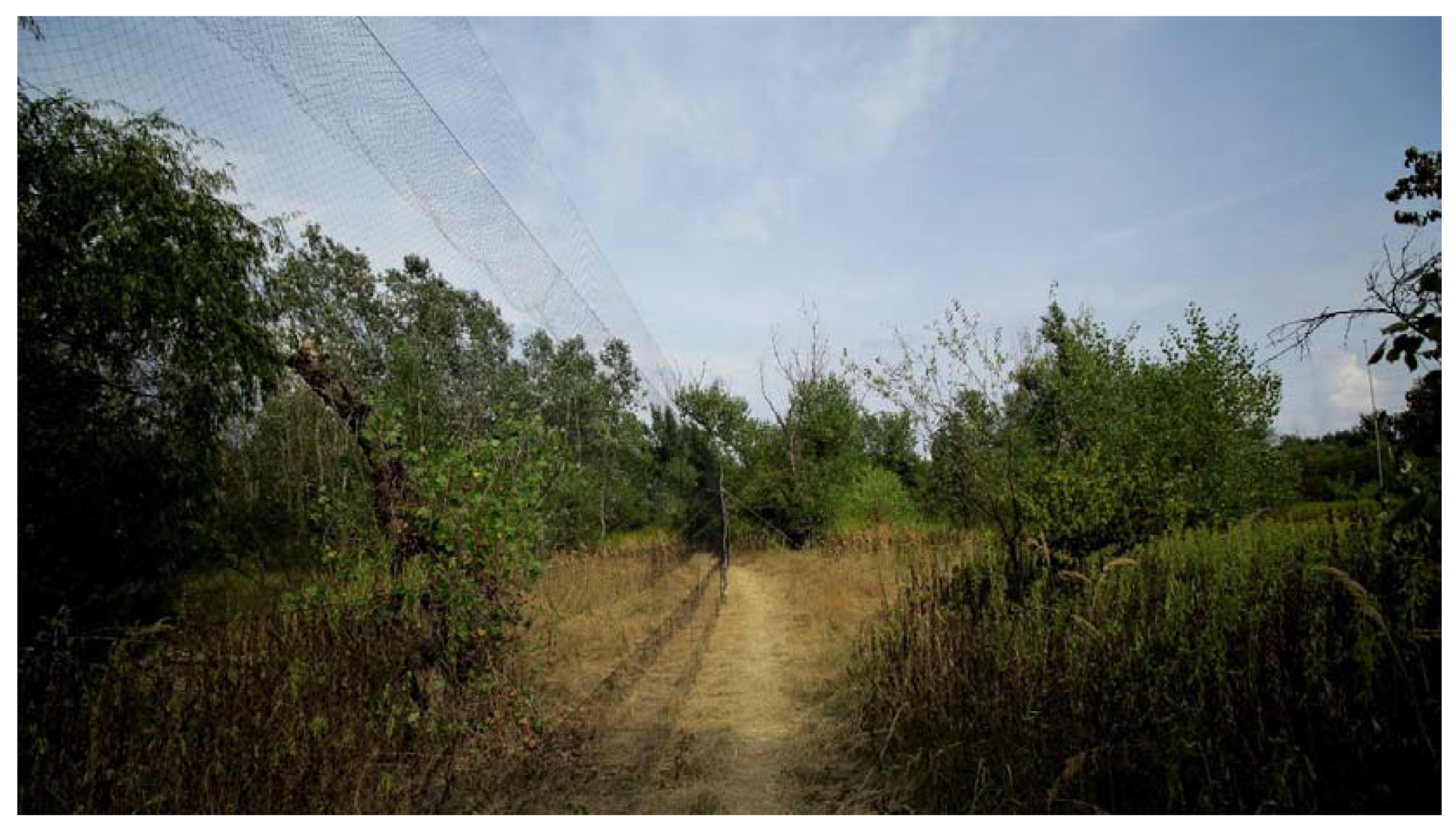 Ijerph 19 13781 g001 Ijerph 19 13781 g001