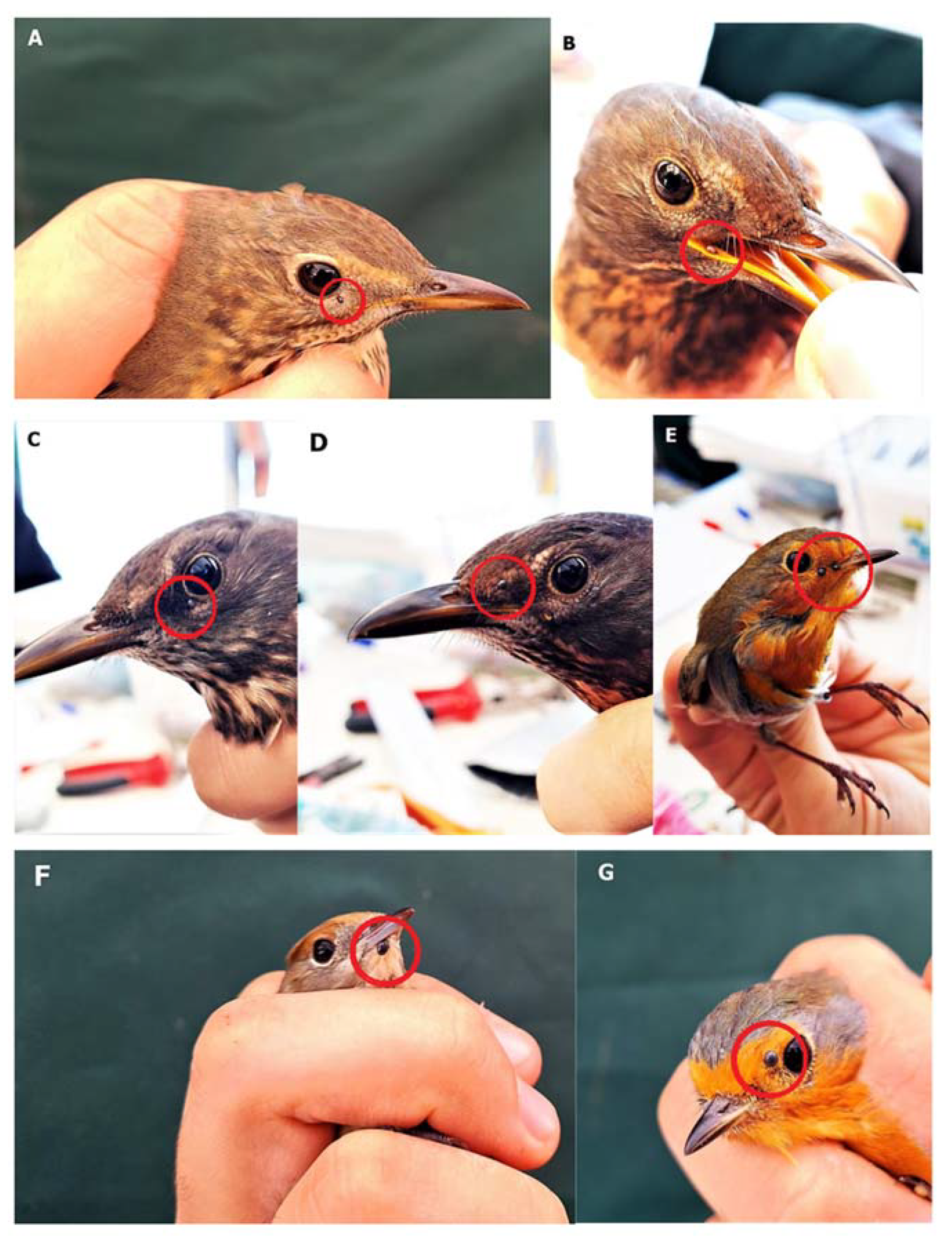 Ijerph 19 13781 g002 Ijerph 19 13781 g002