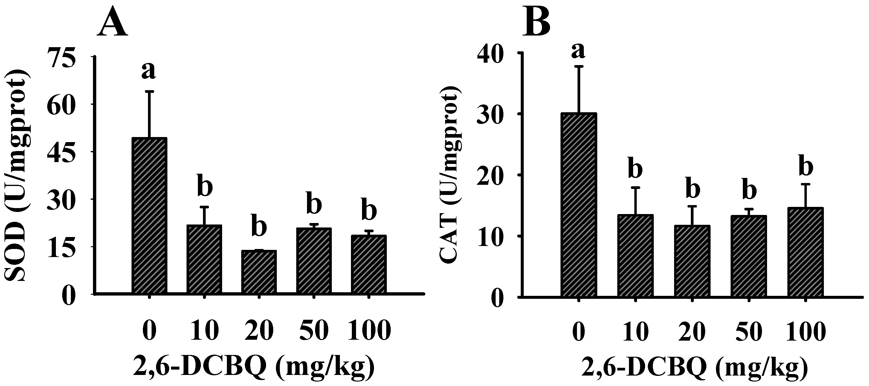 Oxidative Stress Responses and Gene Transcription of Mice