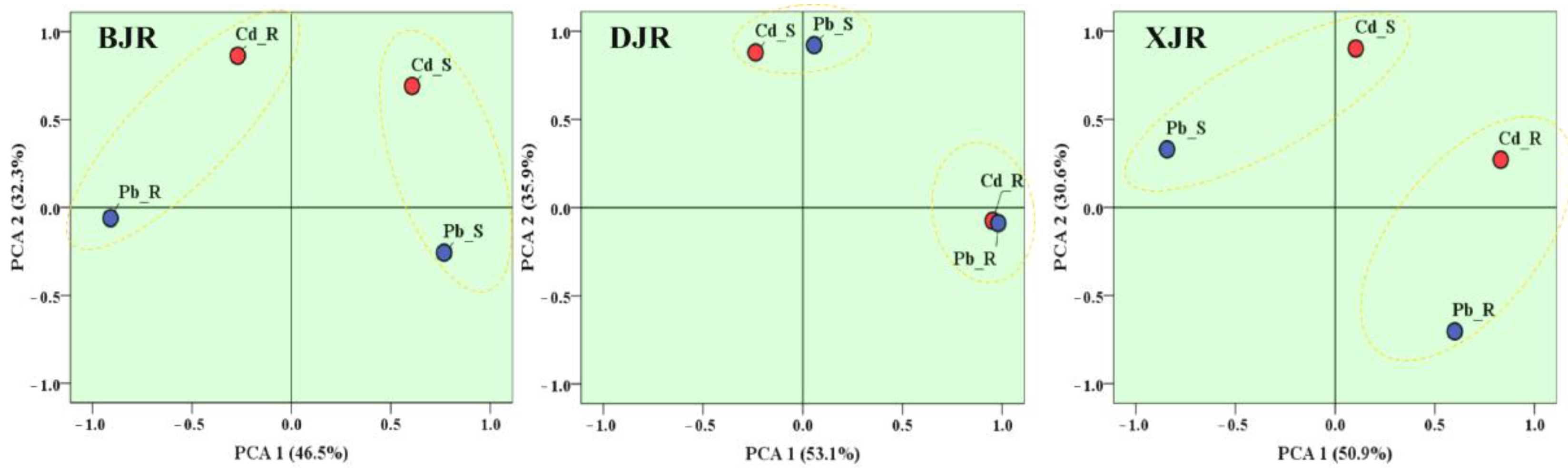 Ijerph 19 13819 g005