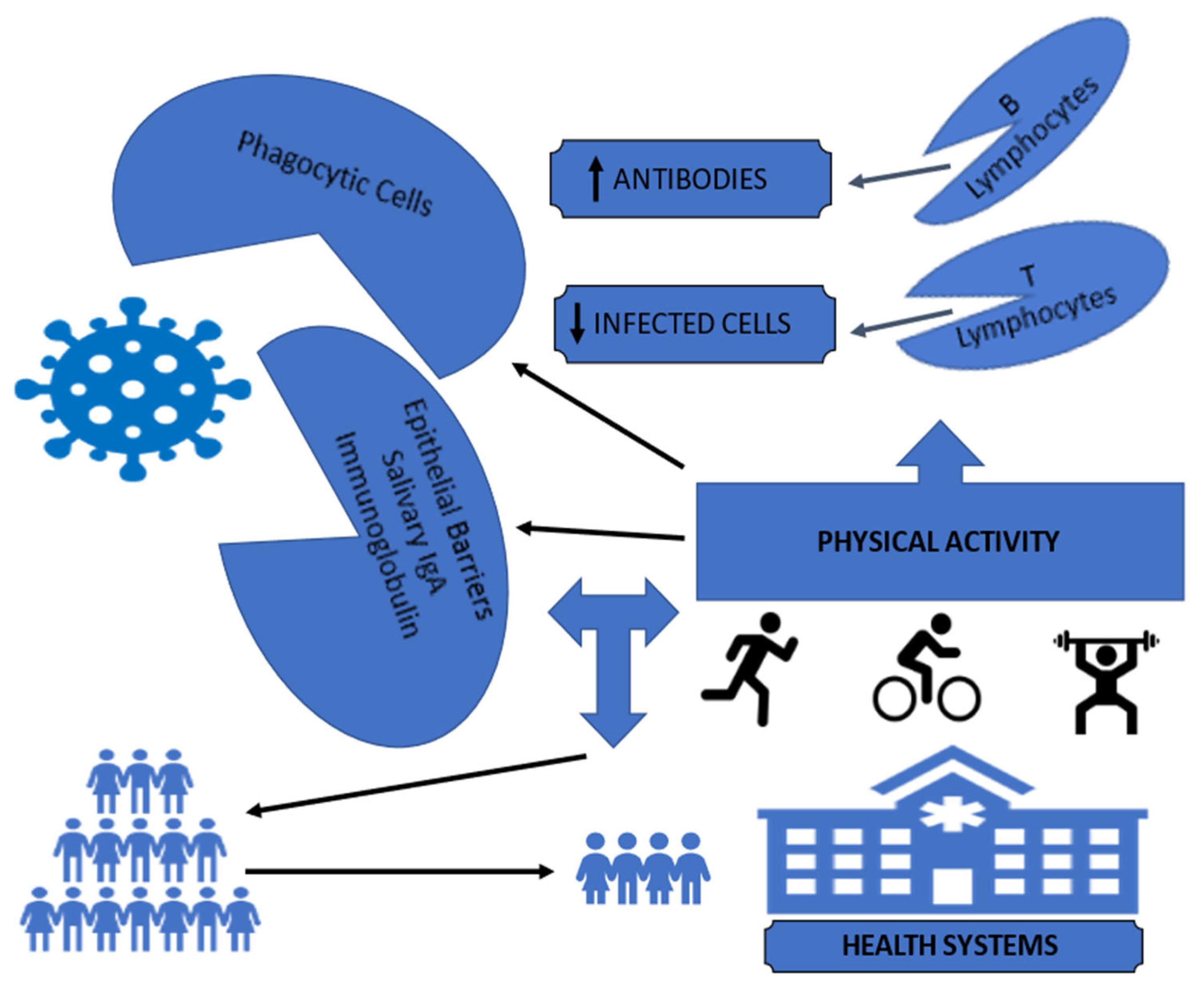 Ijerph 19 13837 g001