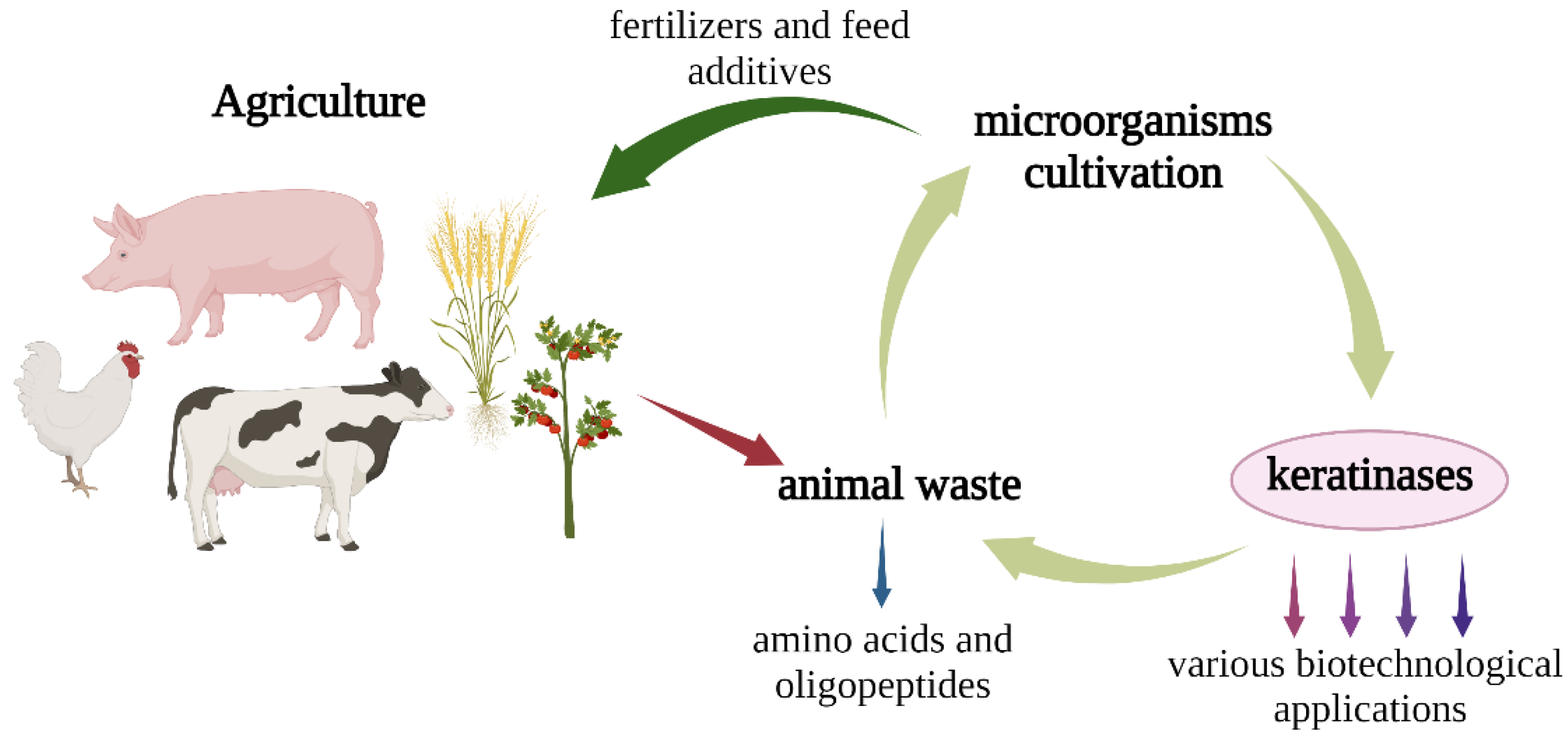 Ijerph 19 13939 g012
