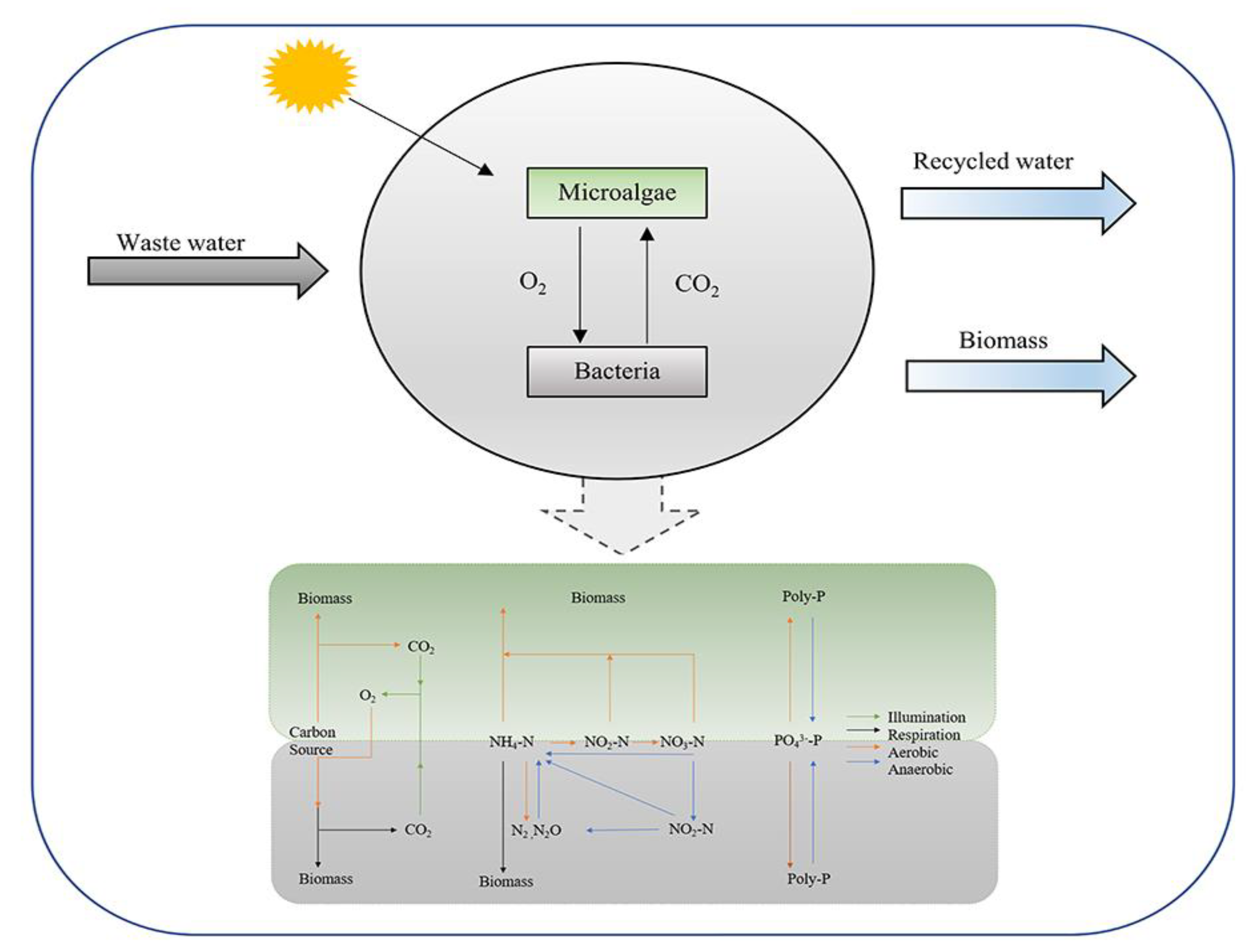 Ijerph 19 13950 g003 Ijerph 19 13950 g003