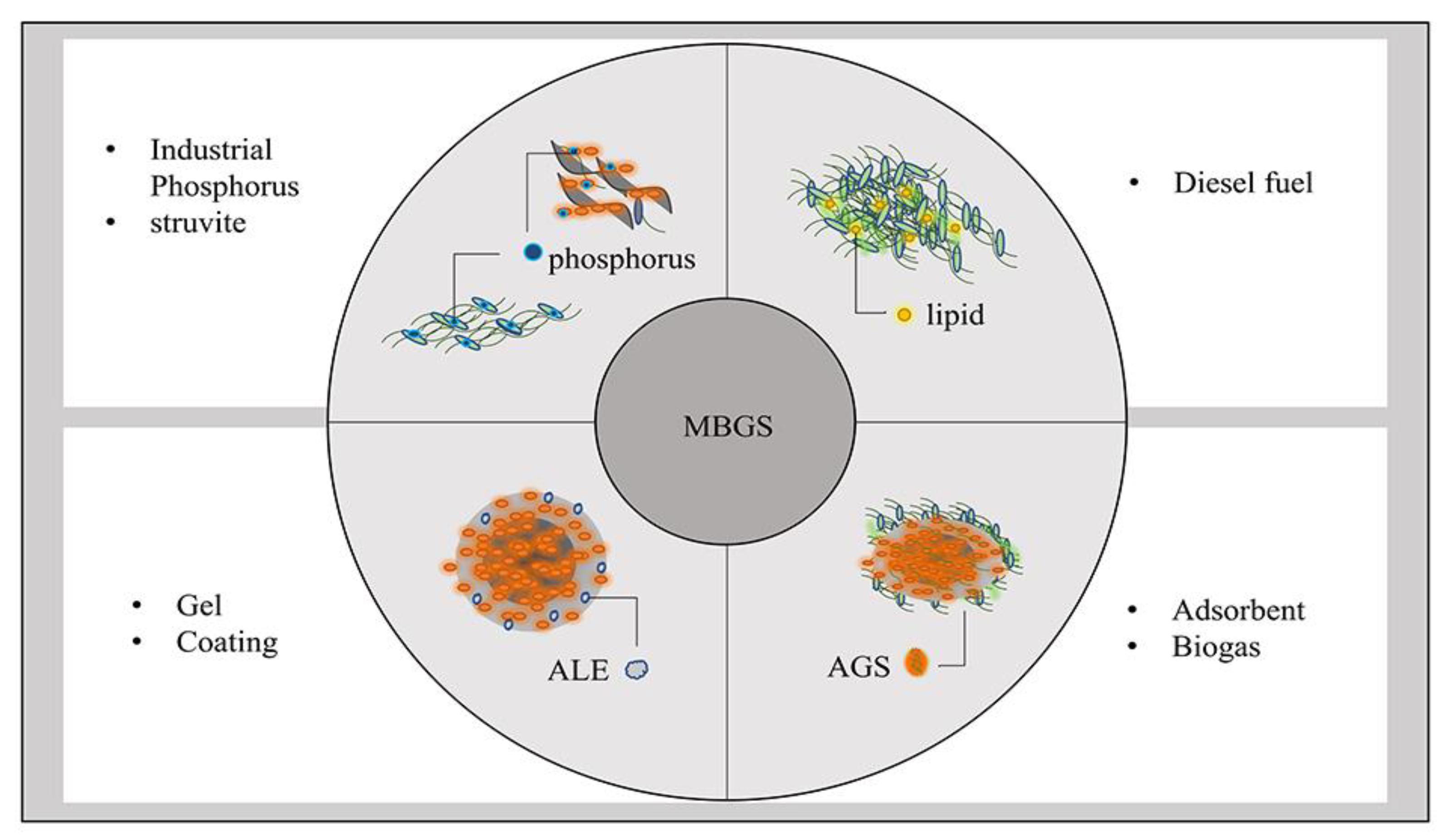 Ijerph 19 13950 g004 Ijerph 19 13950 g004