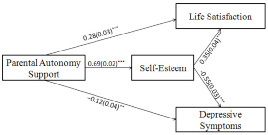 Parental Autonomy Support and Mental Health among Chinese Adolescents ...