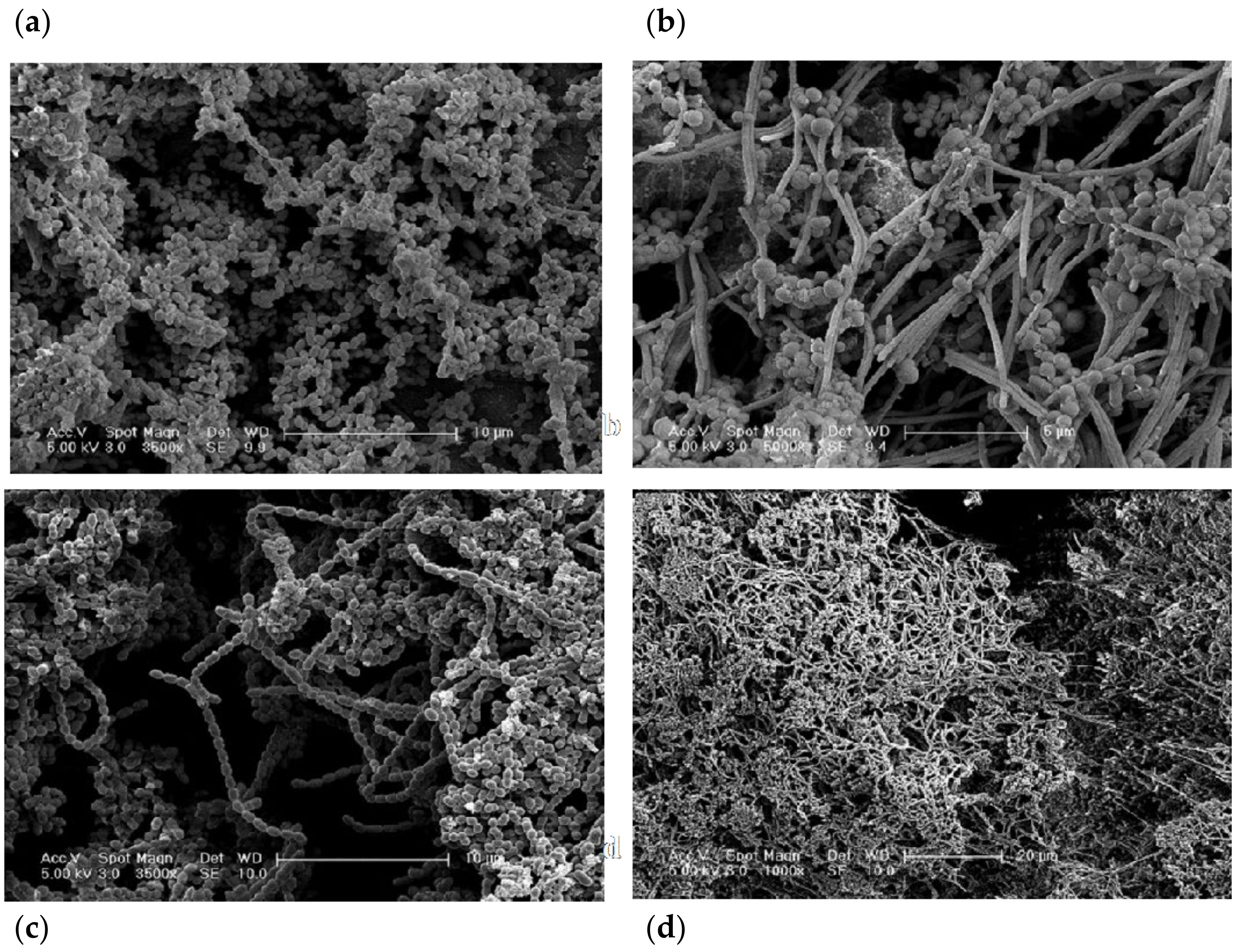 Ijerph 19 14088 g003