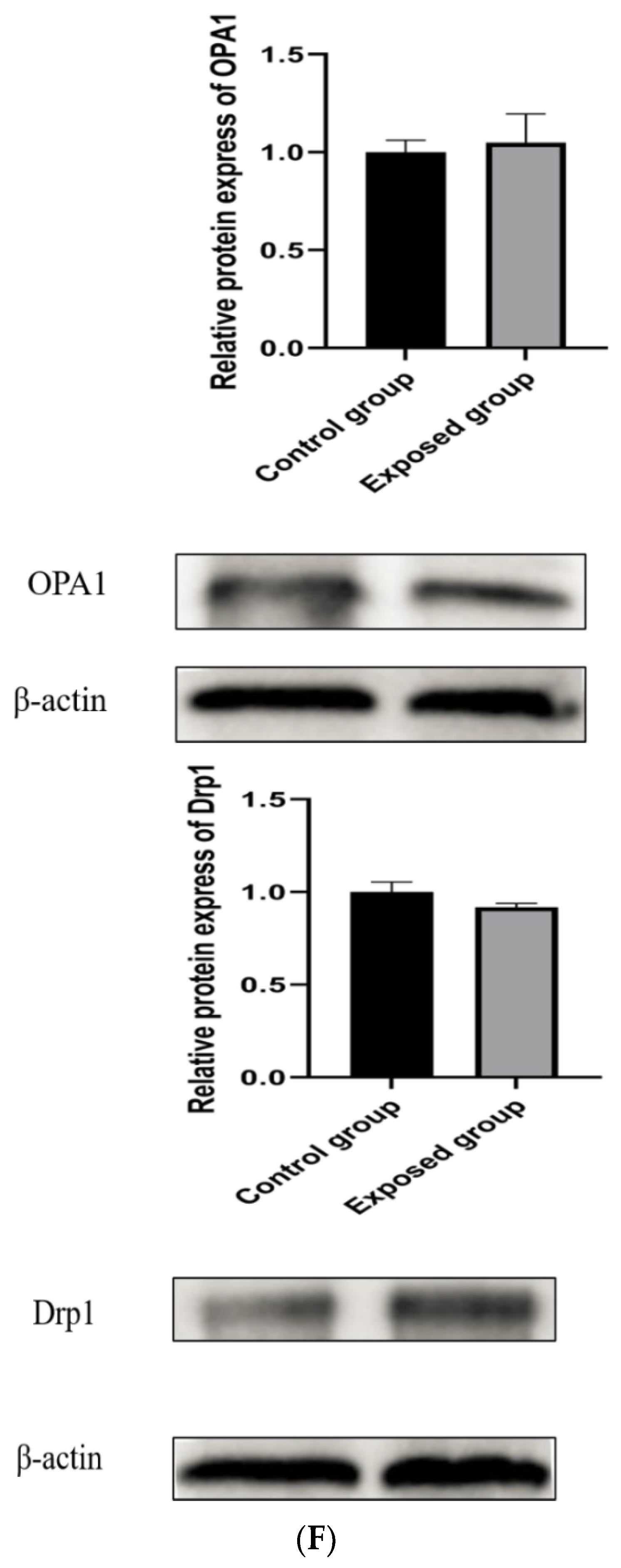 Ijerph 19 14093 g008c