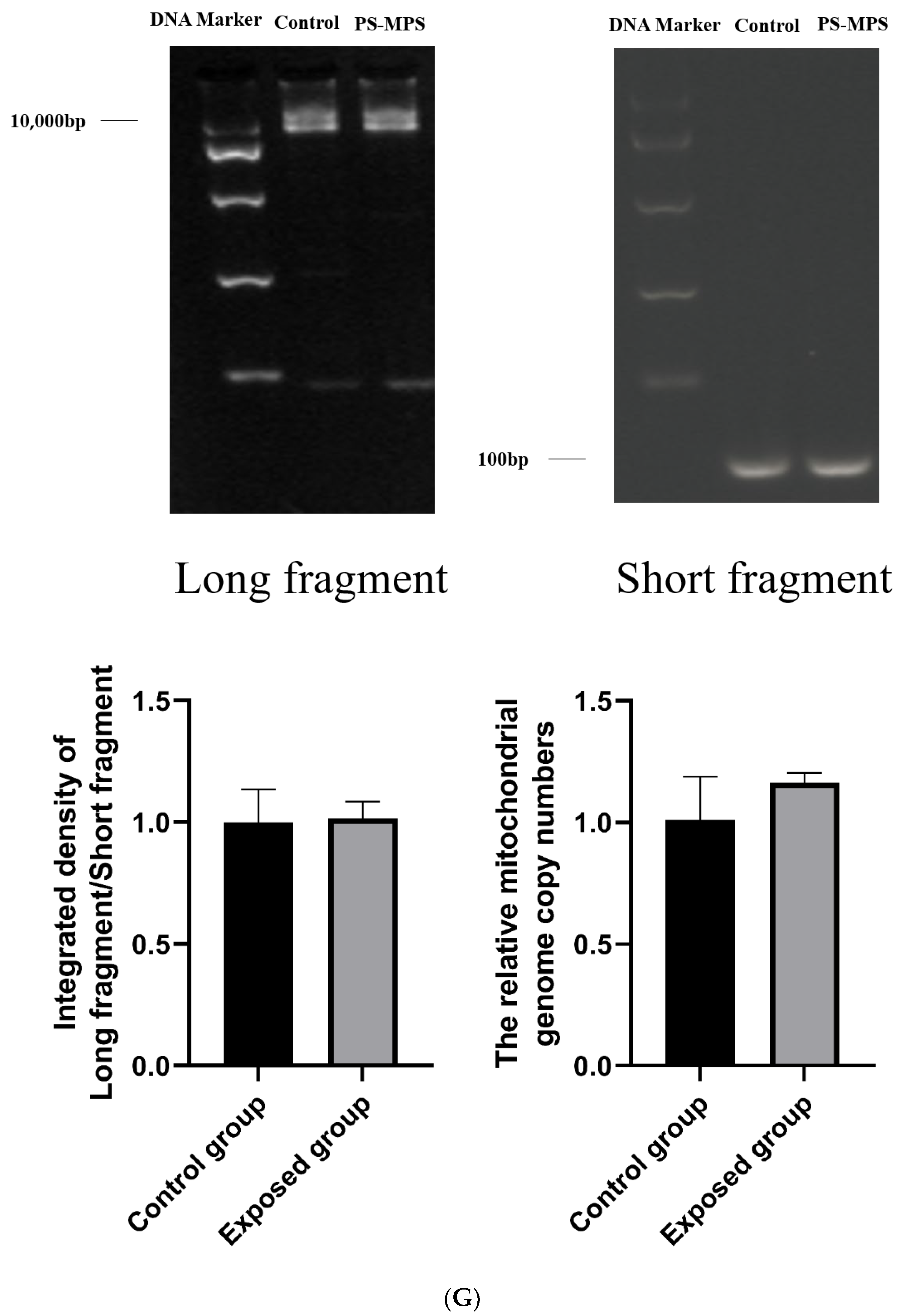 Ijerph 19 14093 g008d