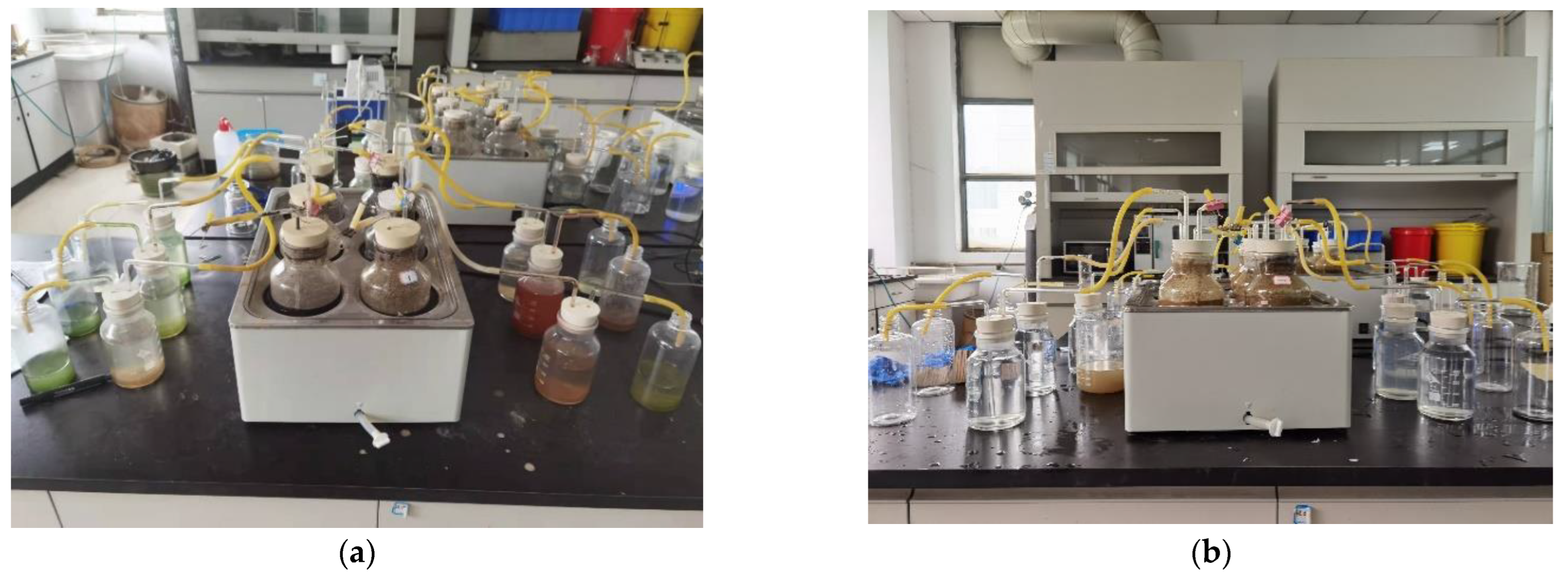 Ijerph 19 14094 g001