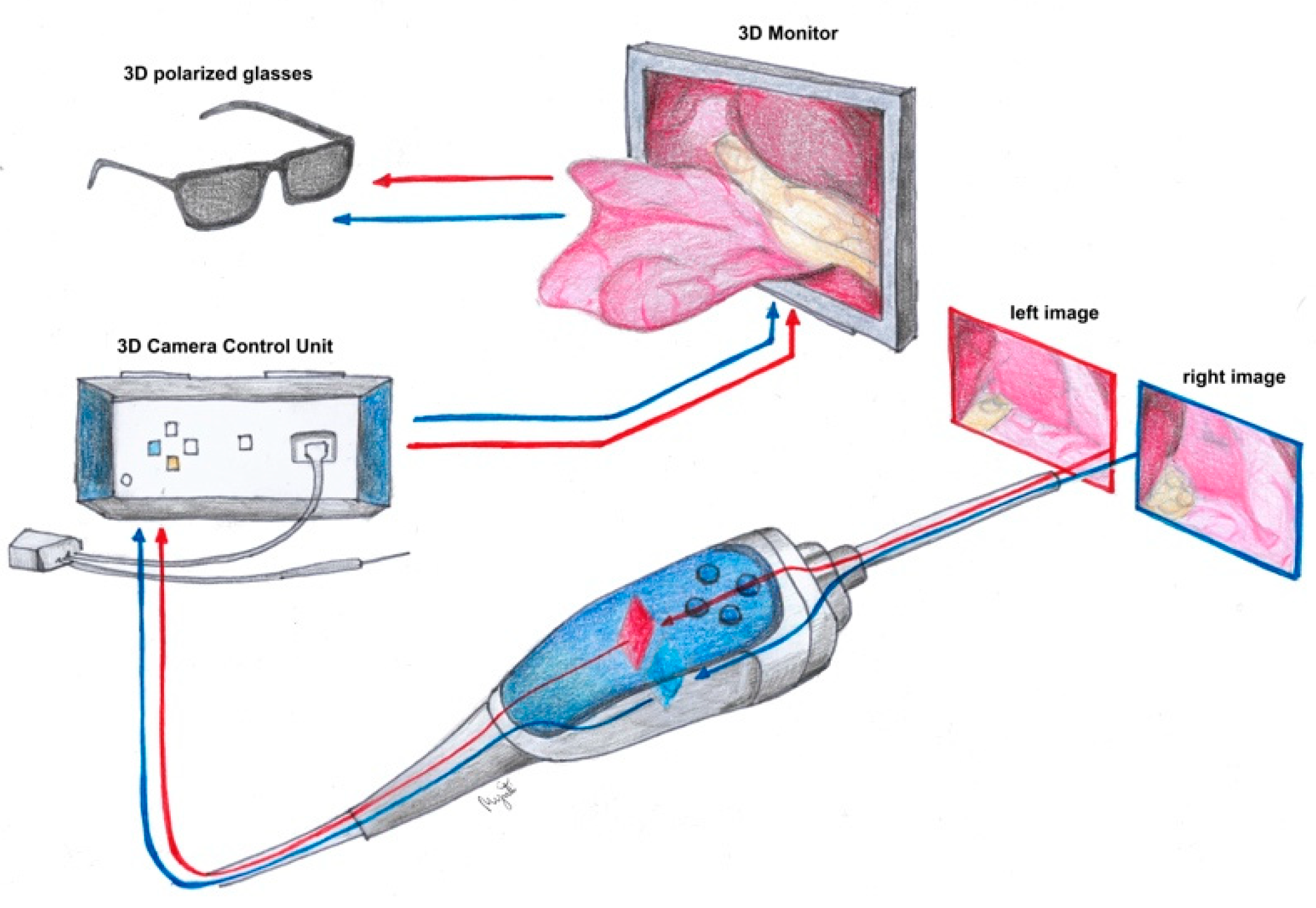 Ijerph 19 14163 g001