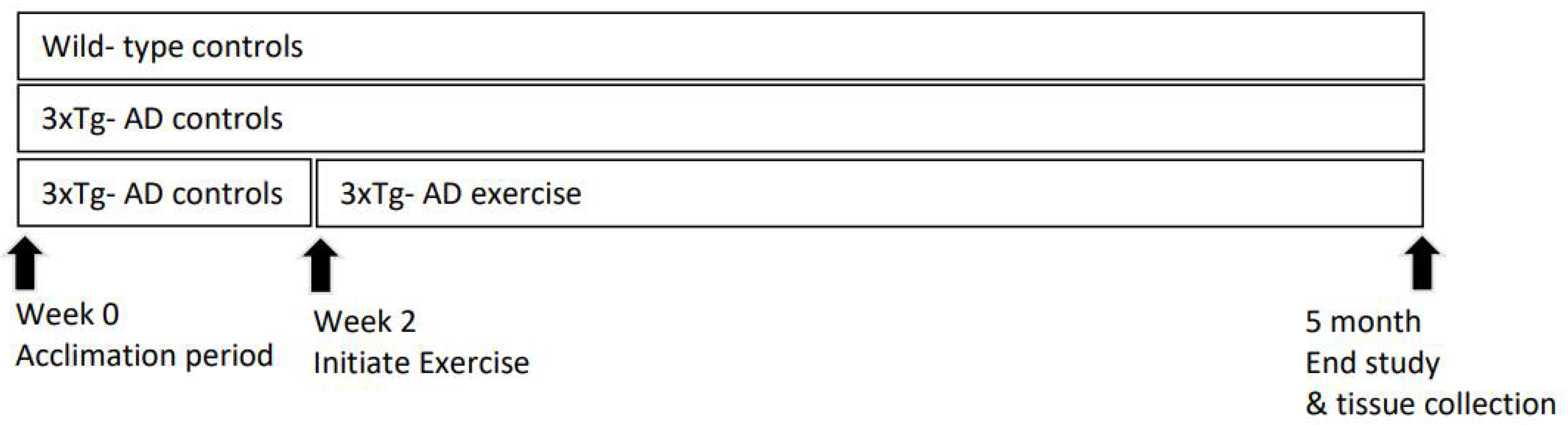 Ijerph 19 14164 g001 Ijerph 19 14164 g001