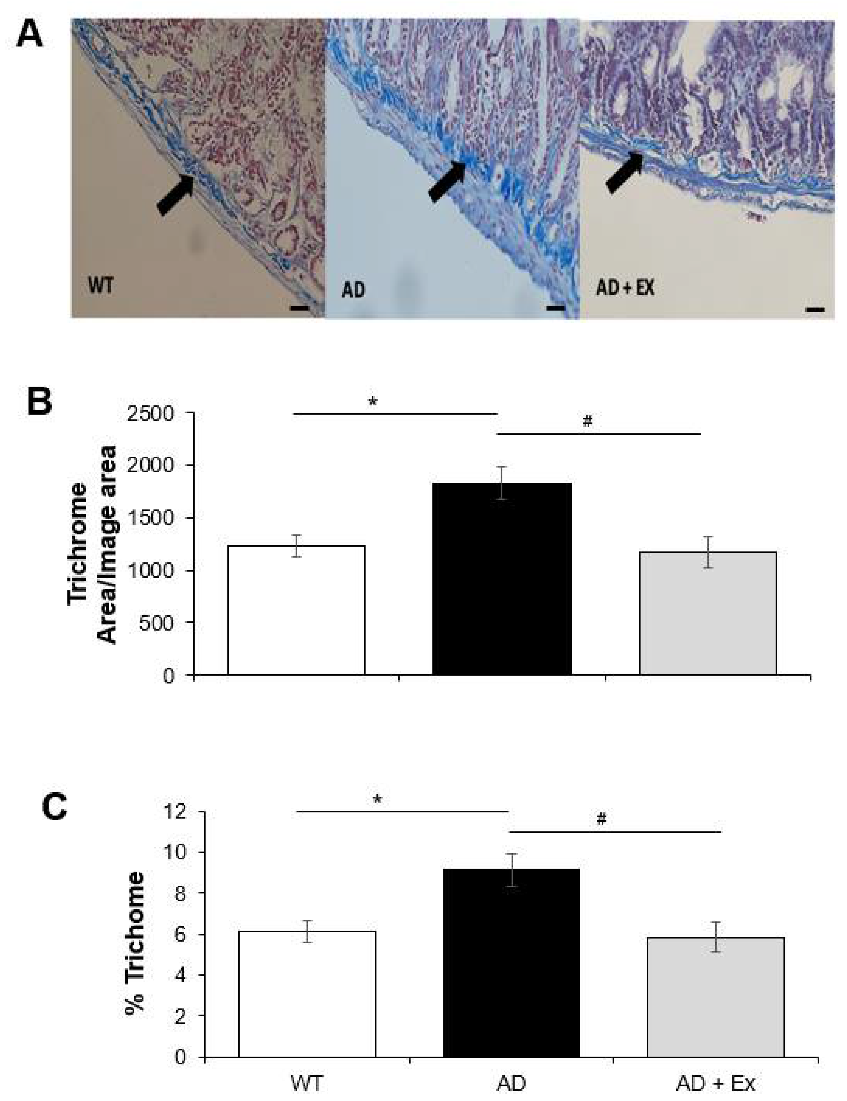 Ijerph 19 14164 g004 Ijerph 19 14164 g004