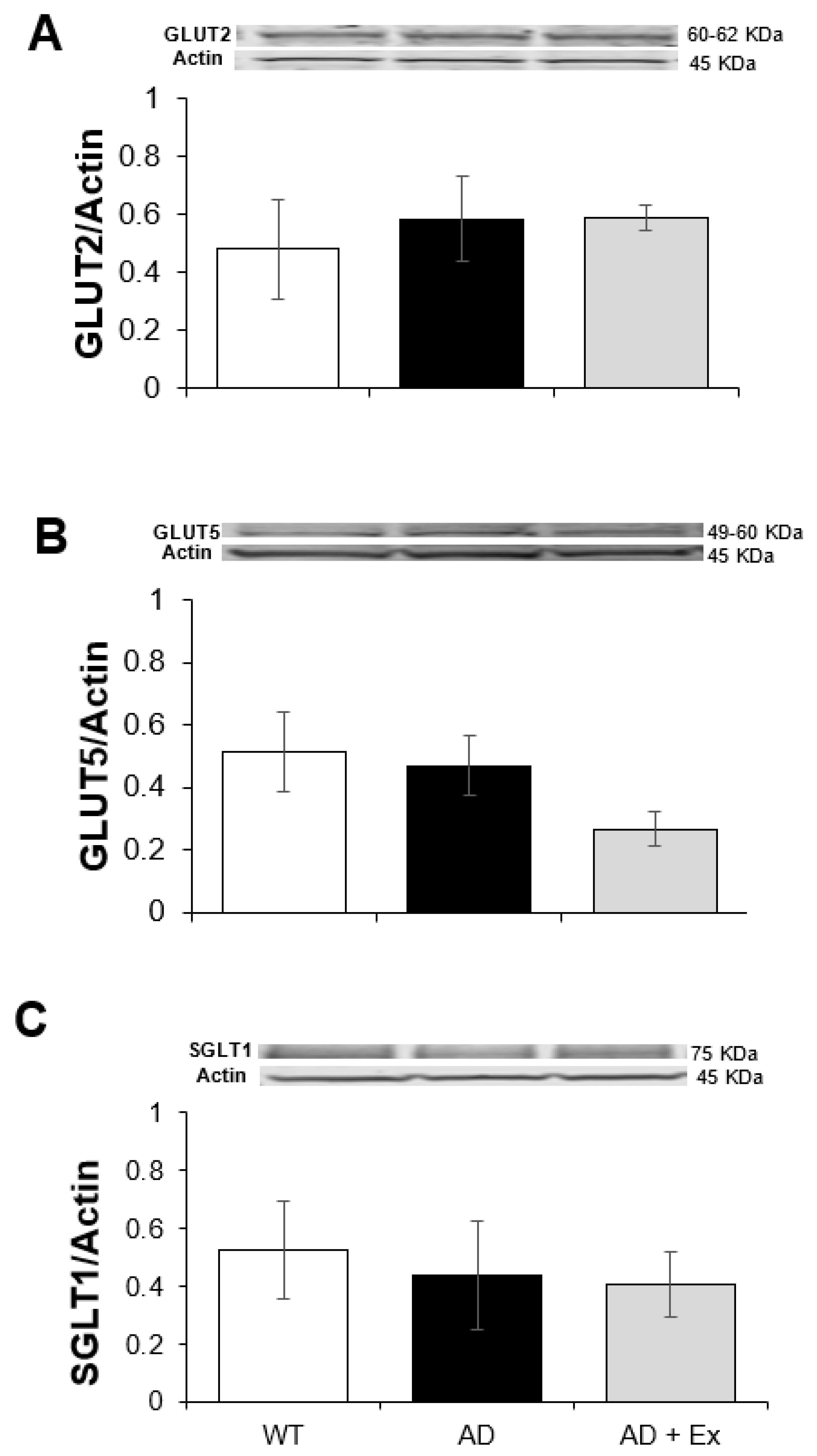 Ijerph 19 14164 g005 Ijerph 19 14164 g005