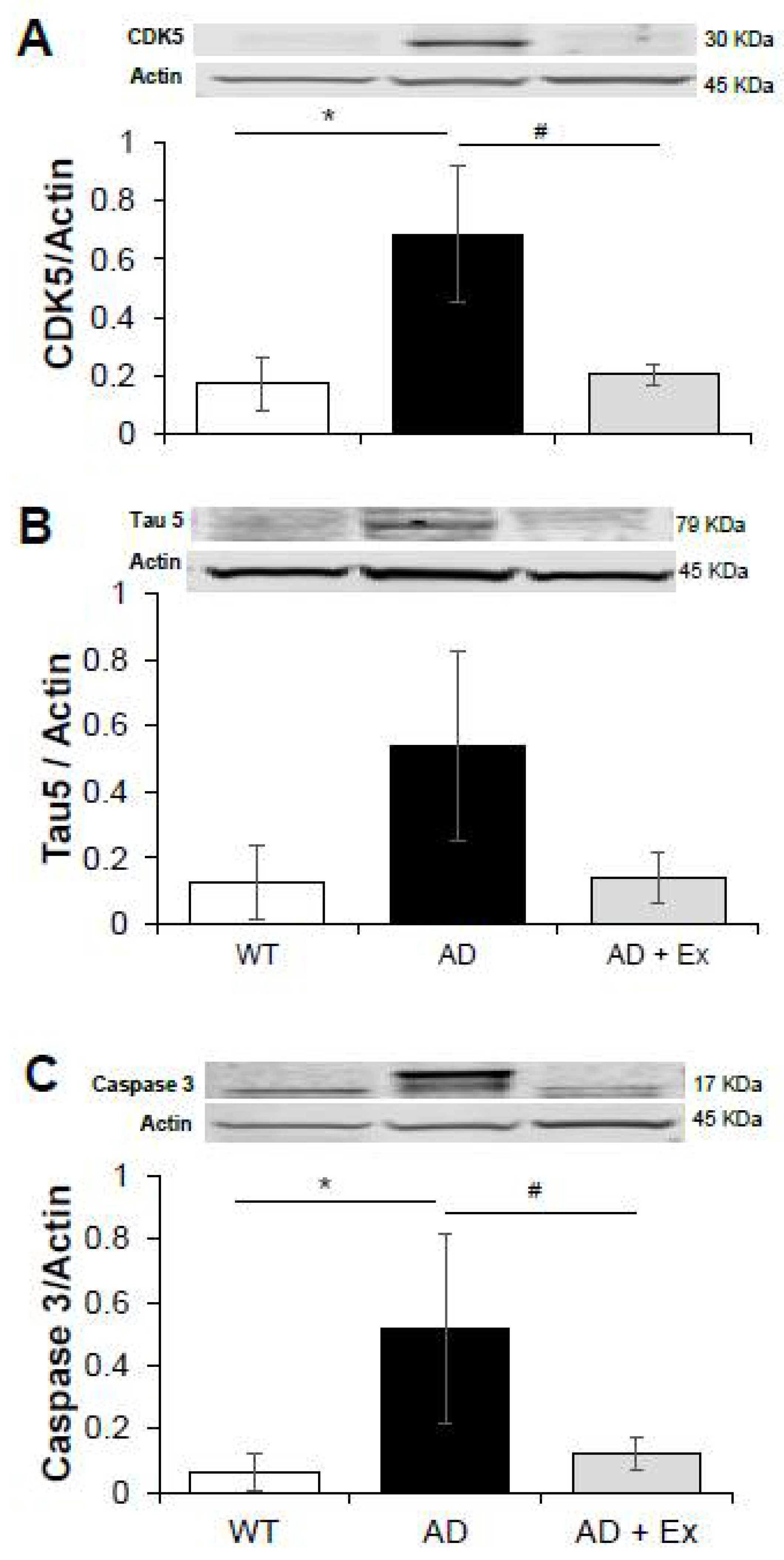 Ijerph 19 14164 g006 Ijerph 19 14164 g006