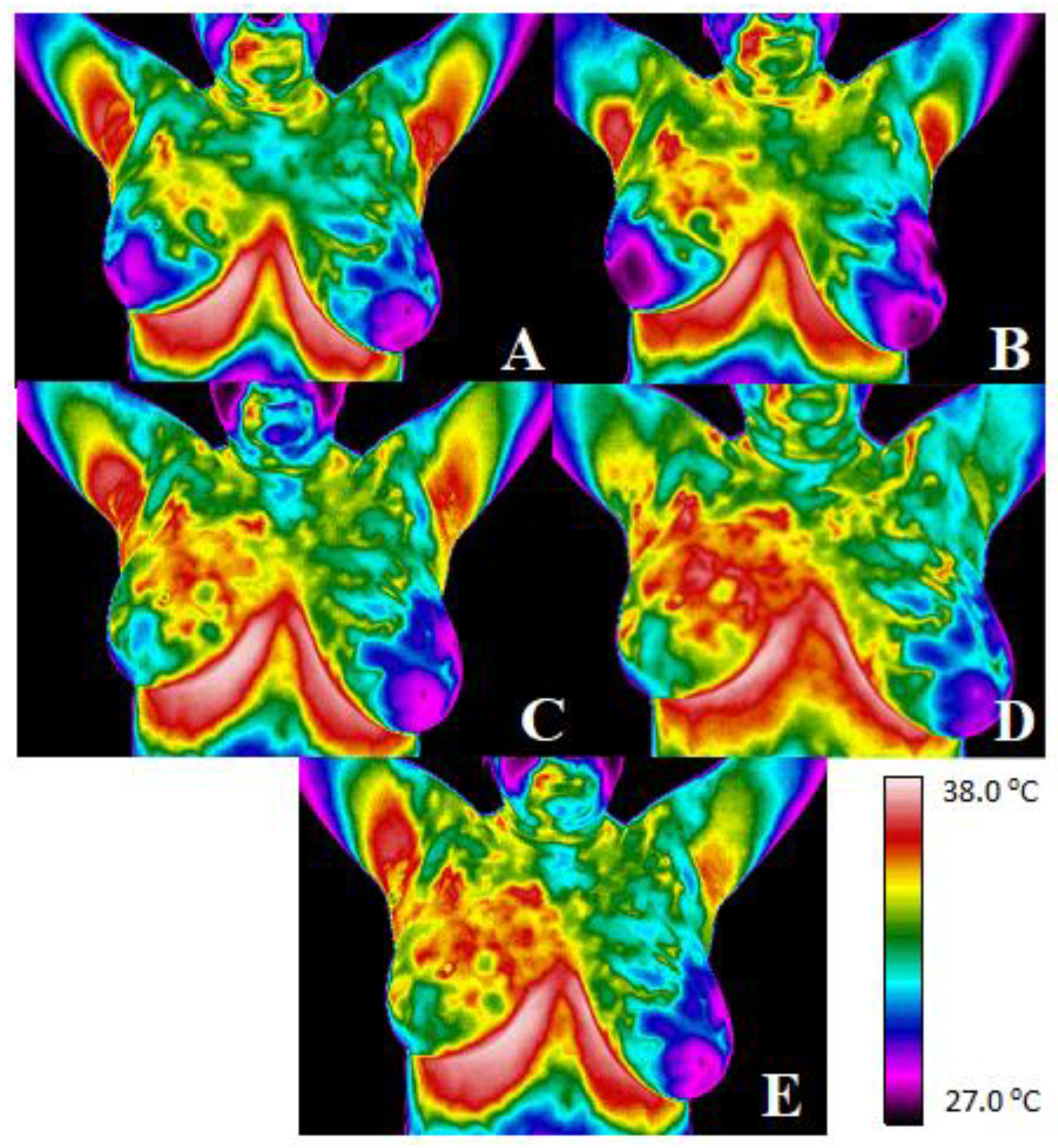 Ijerph 19 14187 g002