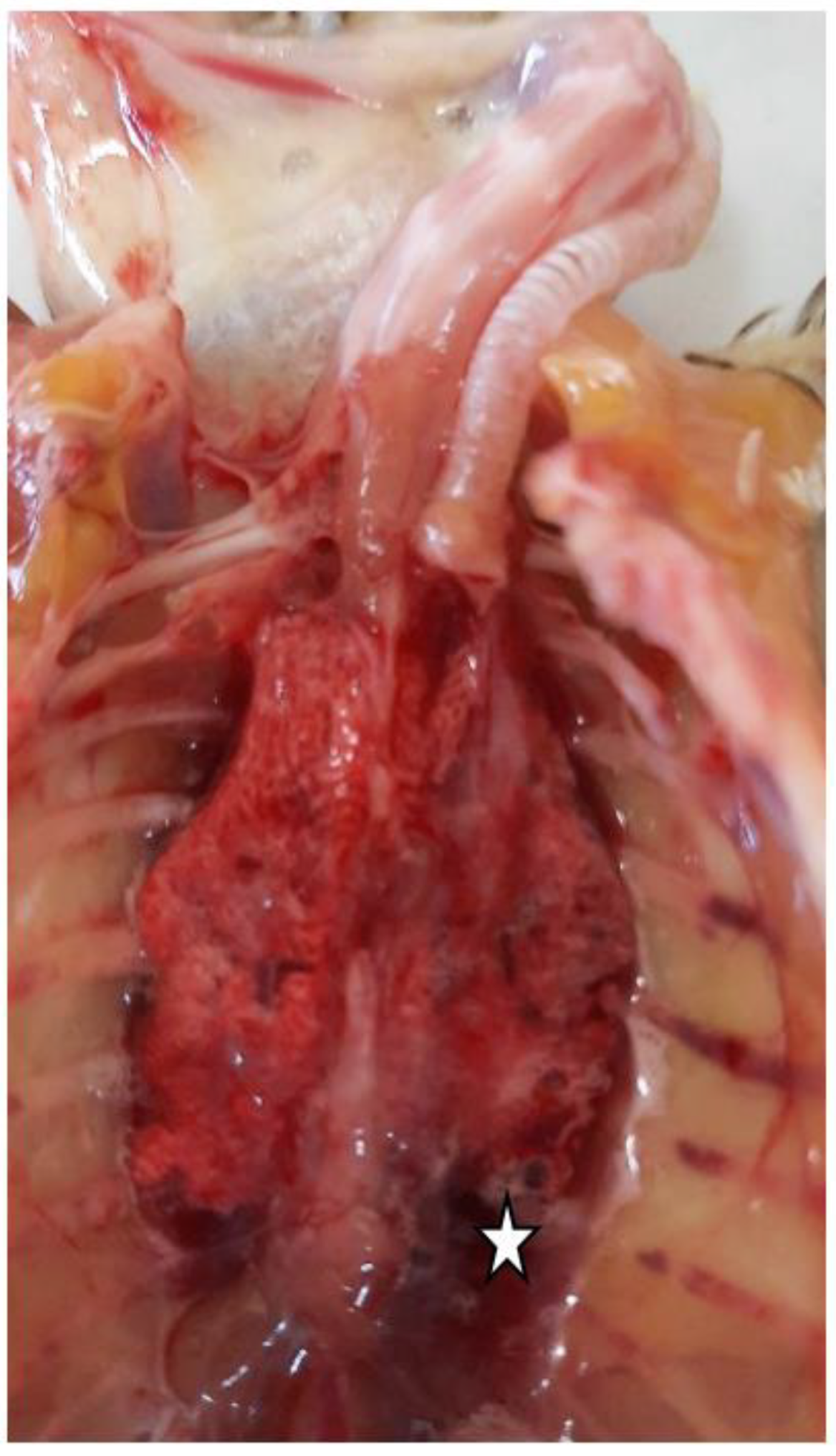 Ijerph 19 14204 g002