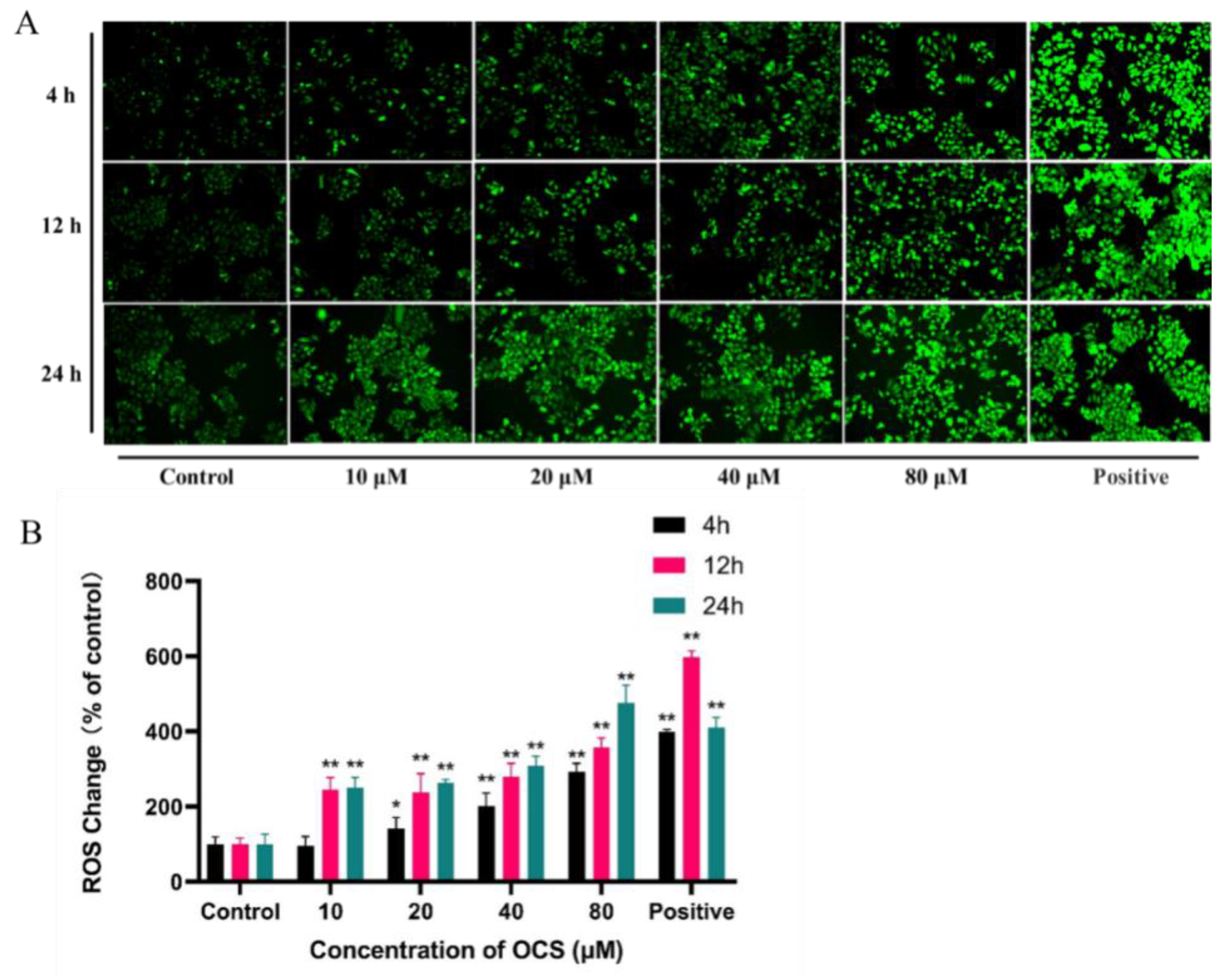 Ijerph 19 14272 g002 Ijerph 19 14272 g002