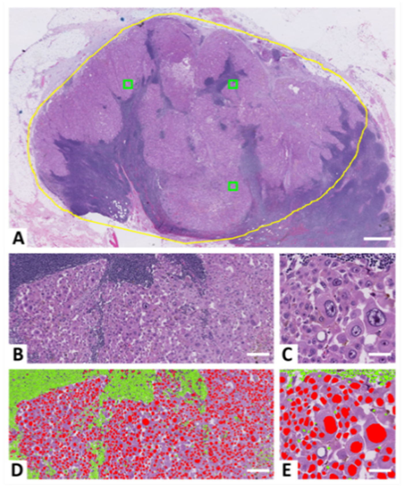 Ijerph 19 14327 g001 Ijerph 19 14327 g001