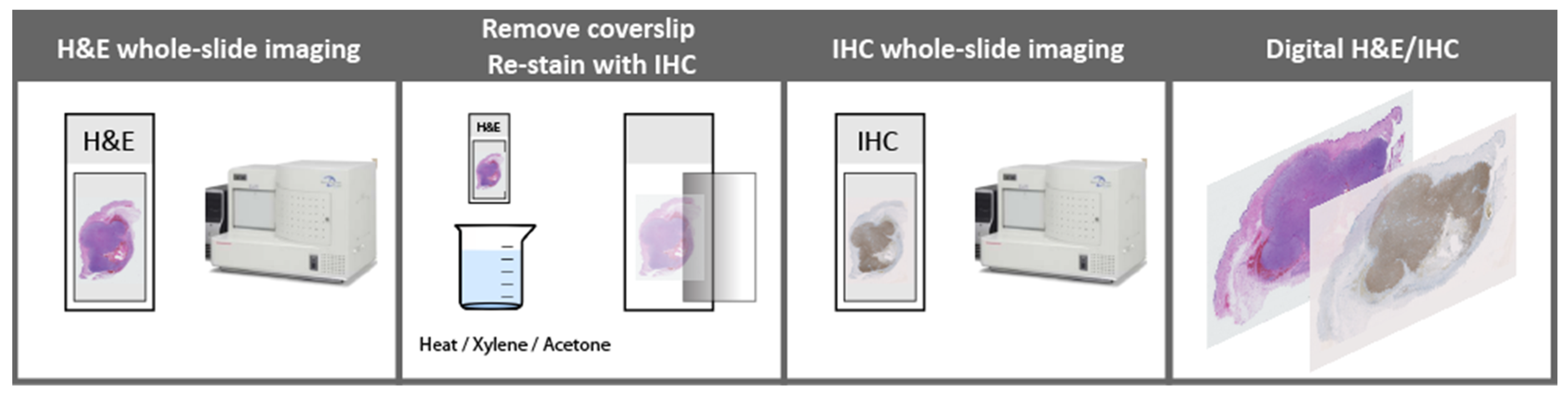 Ijerph 19 14327 g002 Ijerph 19 14327 g002