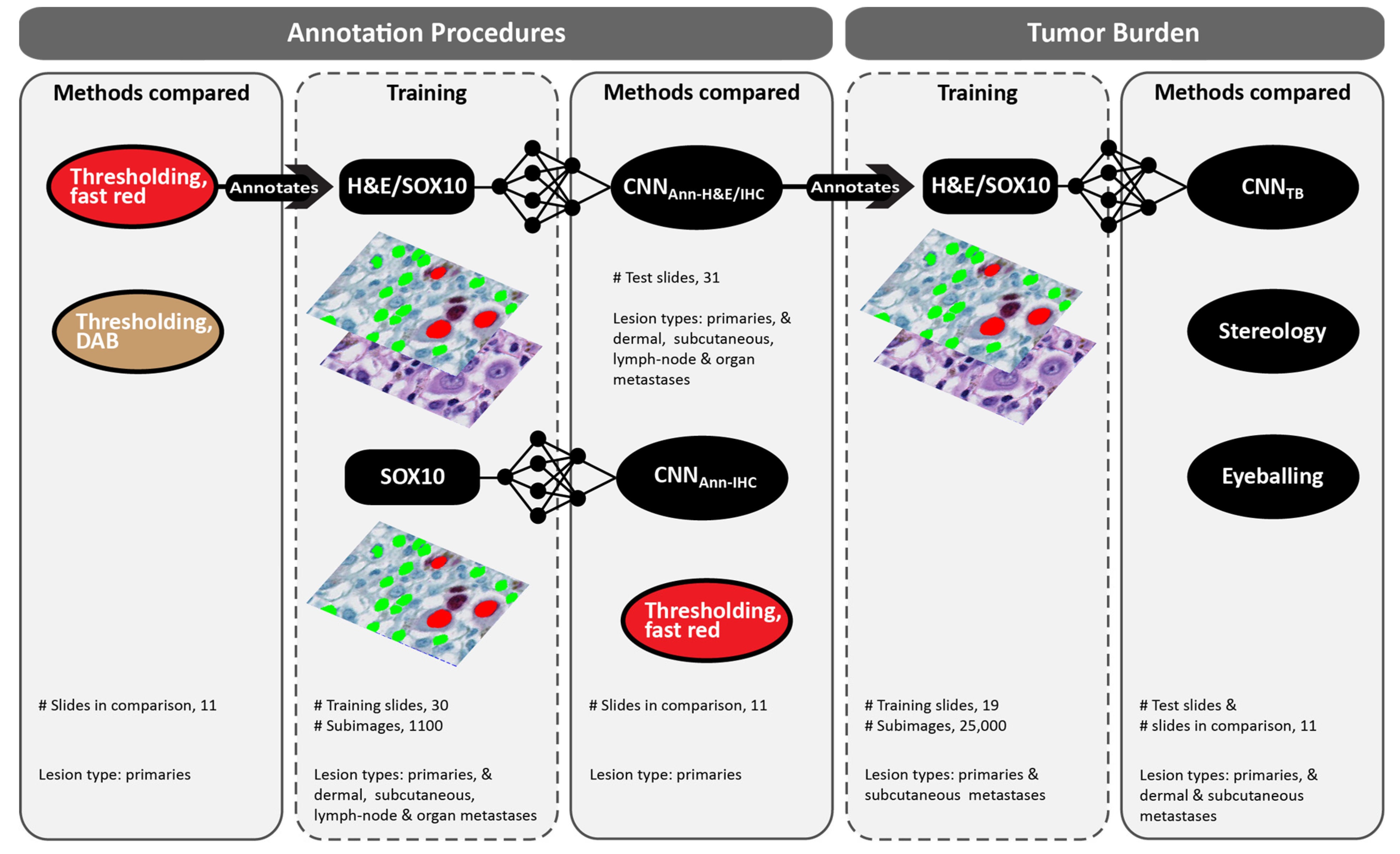 Ijerph 19 14327 g003 Ijerph 19 14327 g003