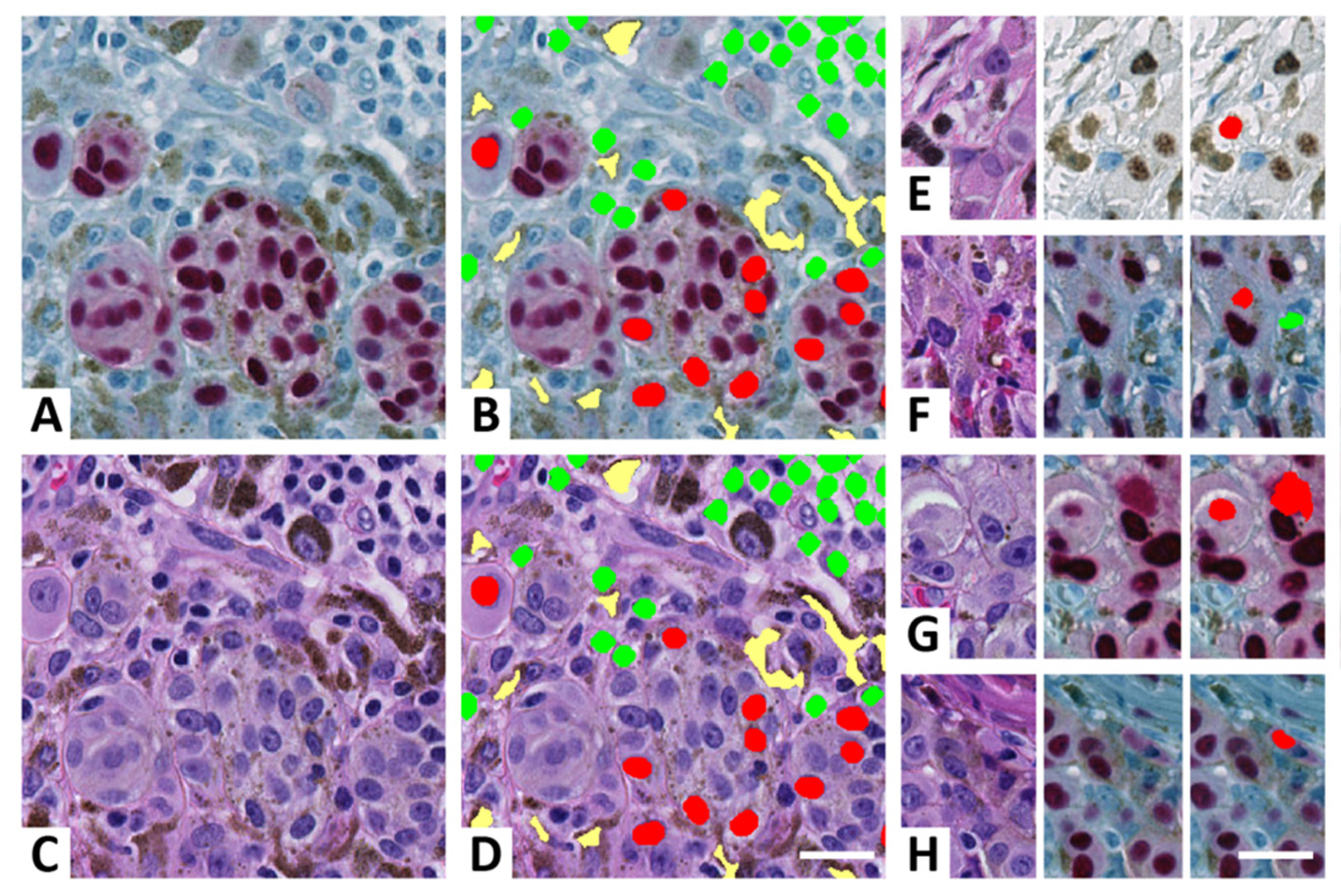 Ijerph 19 14327 g004 Ijerph 19 14327 g004