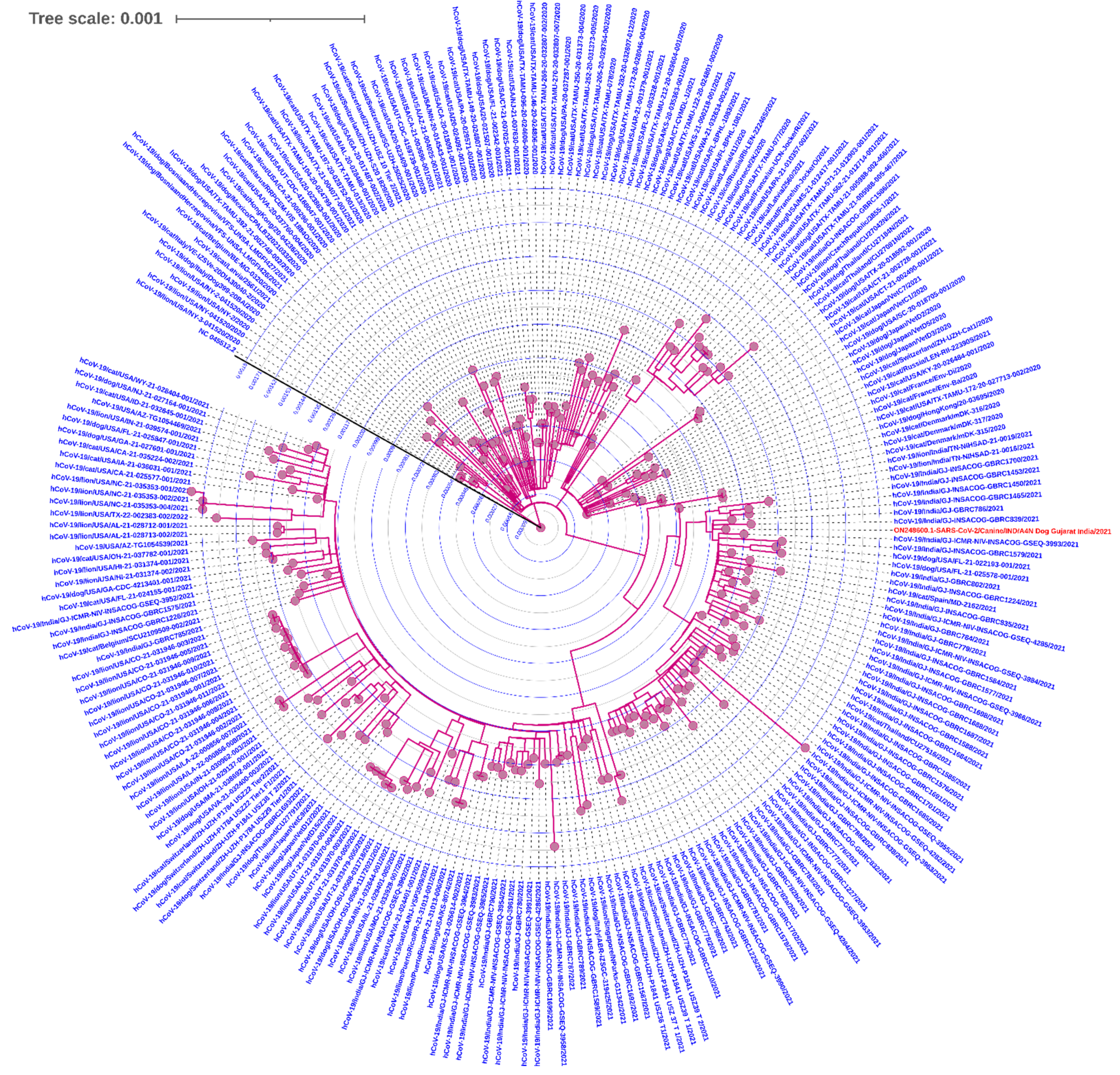 Ijerph 19 14391 g002