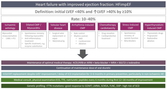 heart-failure-with-improved-ejection-fraction-insight-into-the