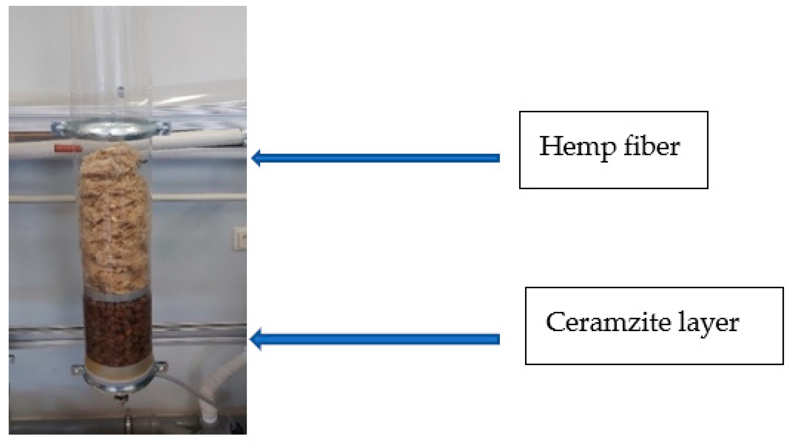 Ijerph 19 14486 g001