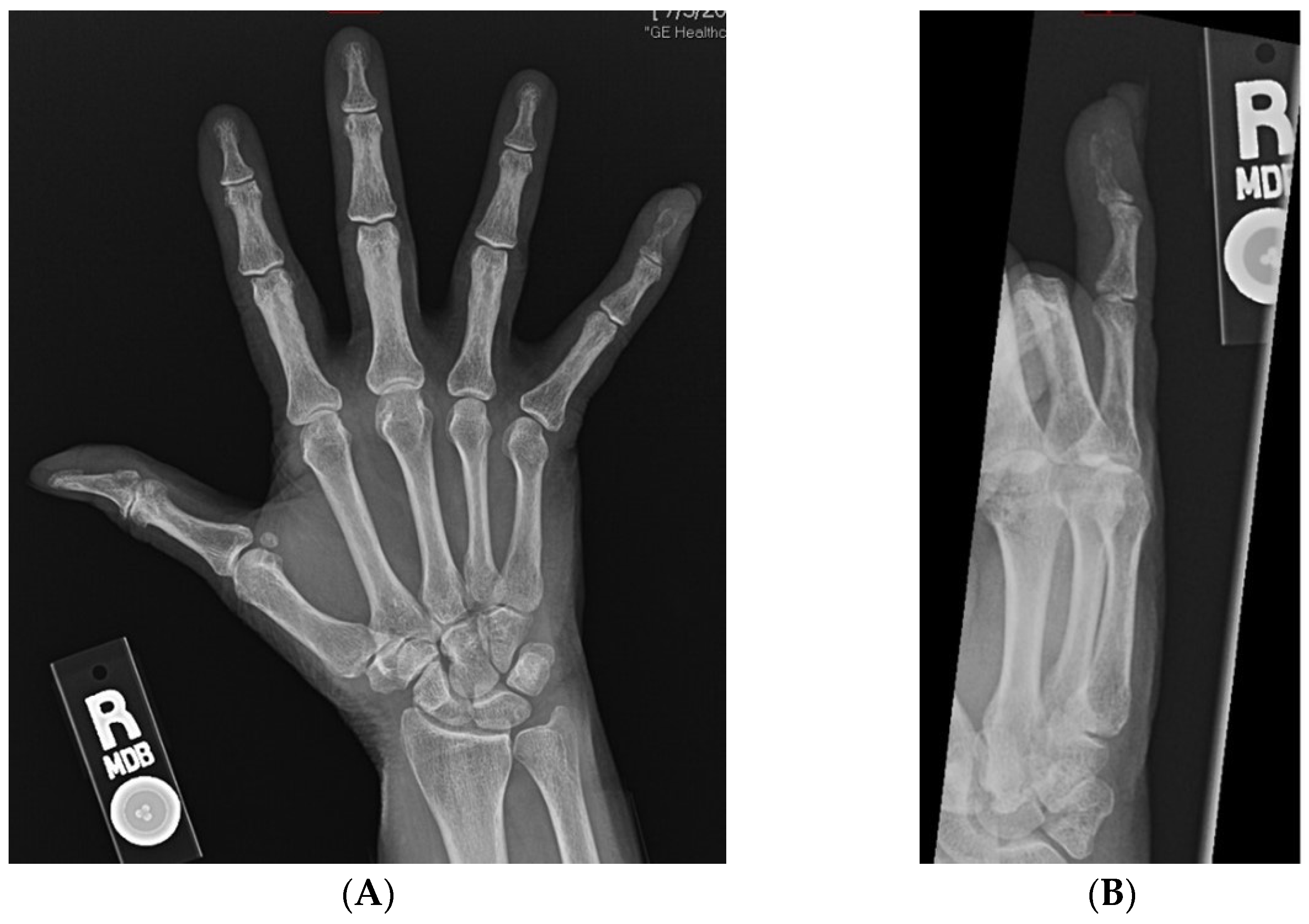 Ijerph 19 14494 g002