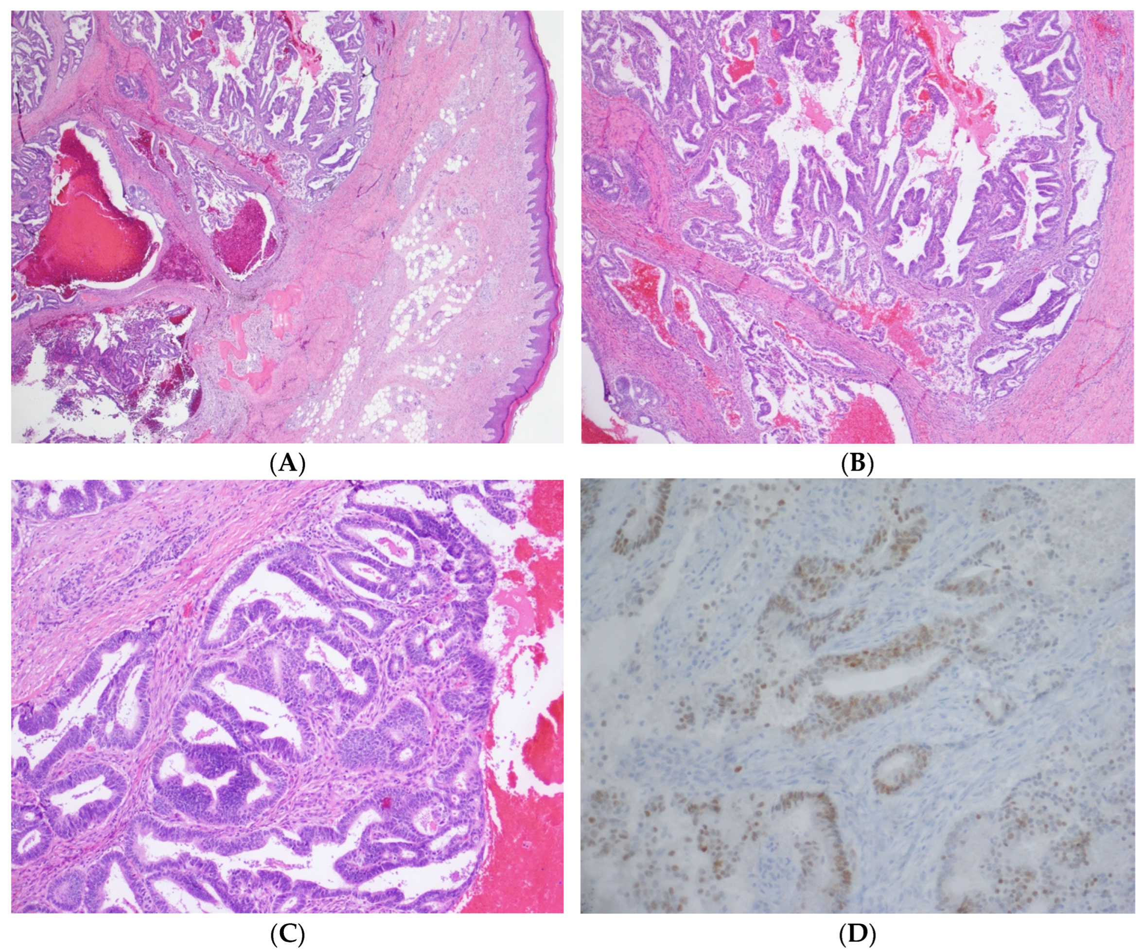 Ijerph 19 14494 g004