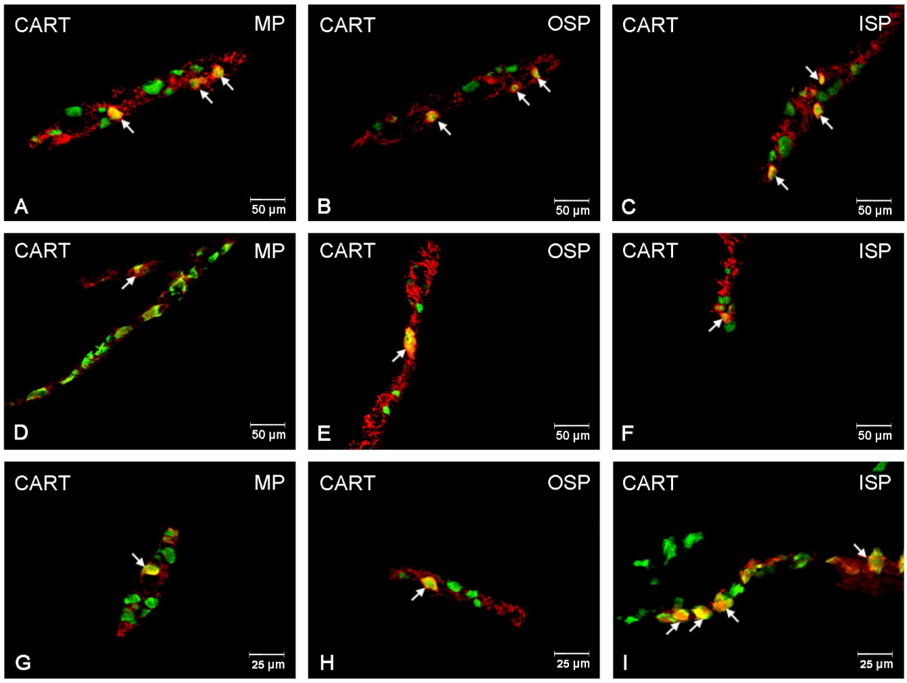 Ijerph 19 14514 g002