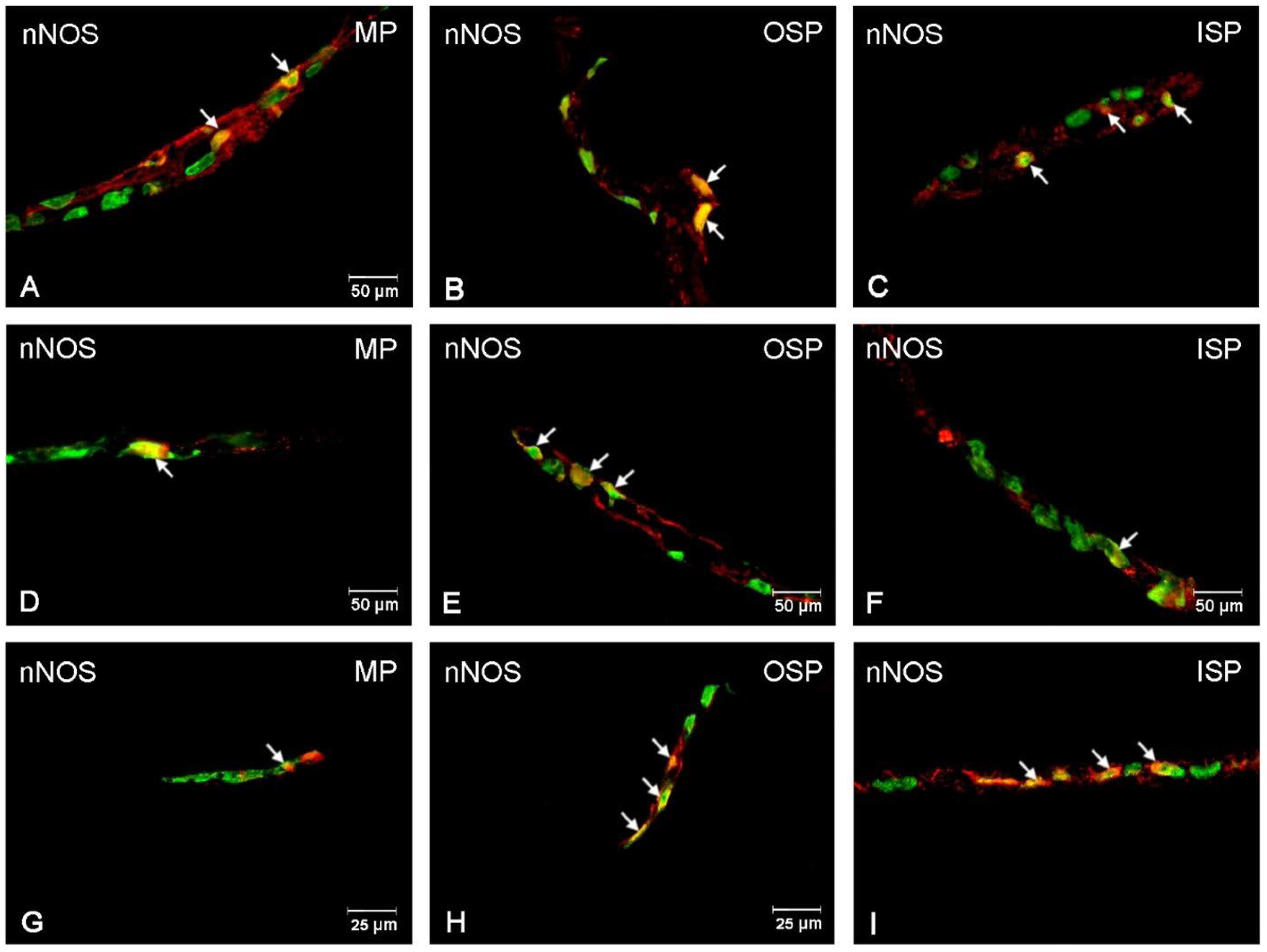 Ijerph 19 14514 g006