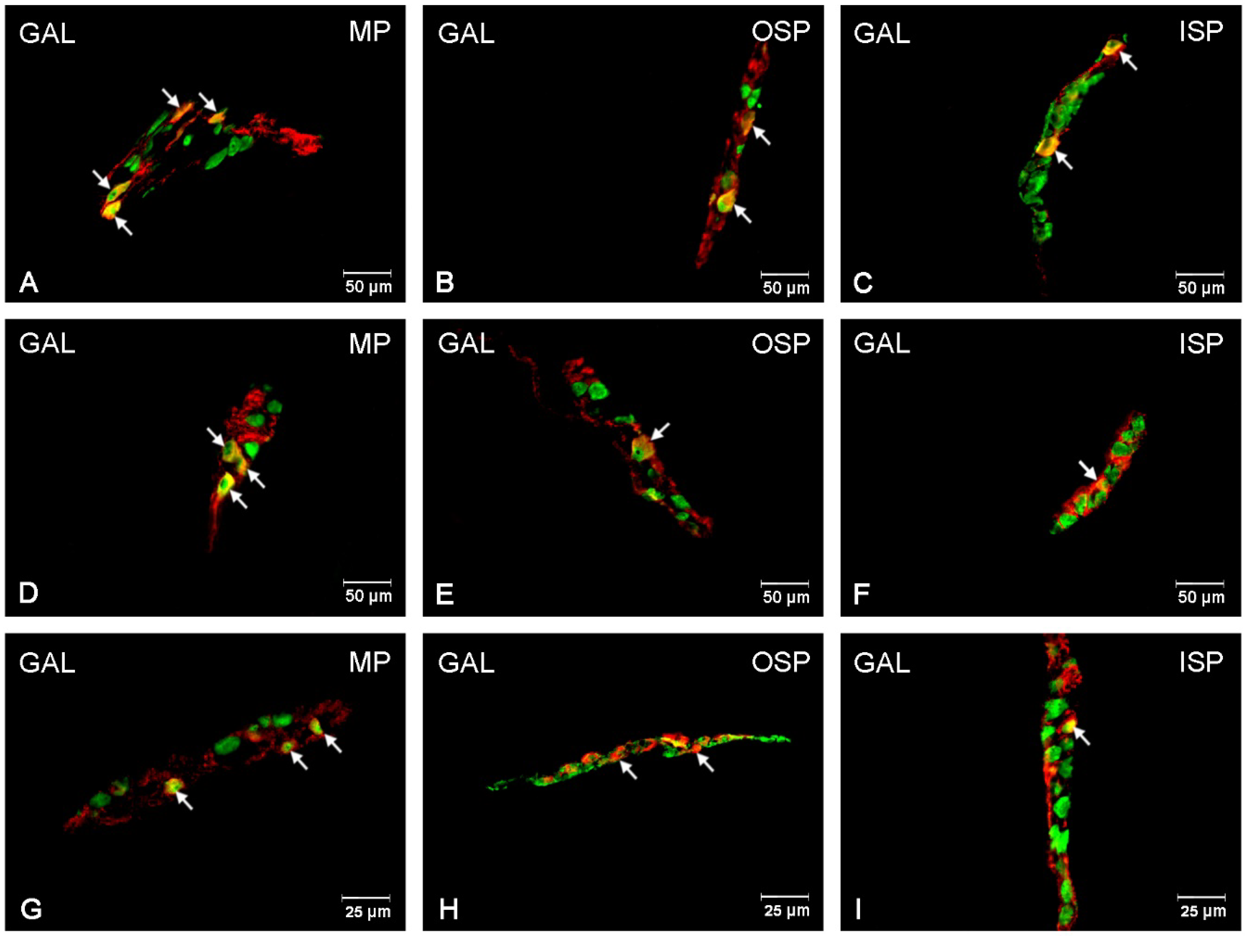 Ijerph 19 14514 g008